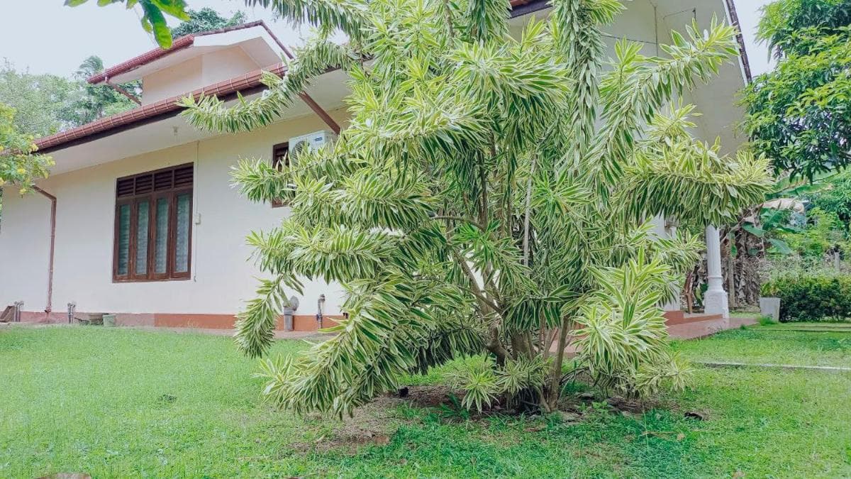 Rathna Villa