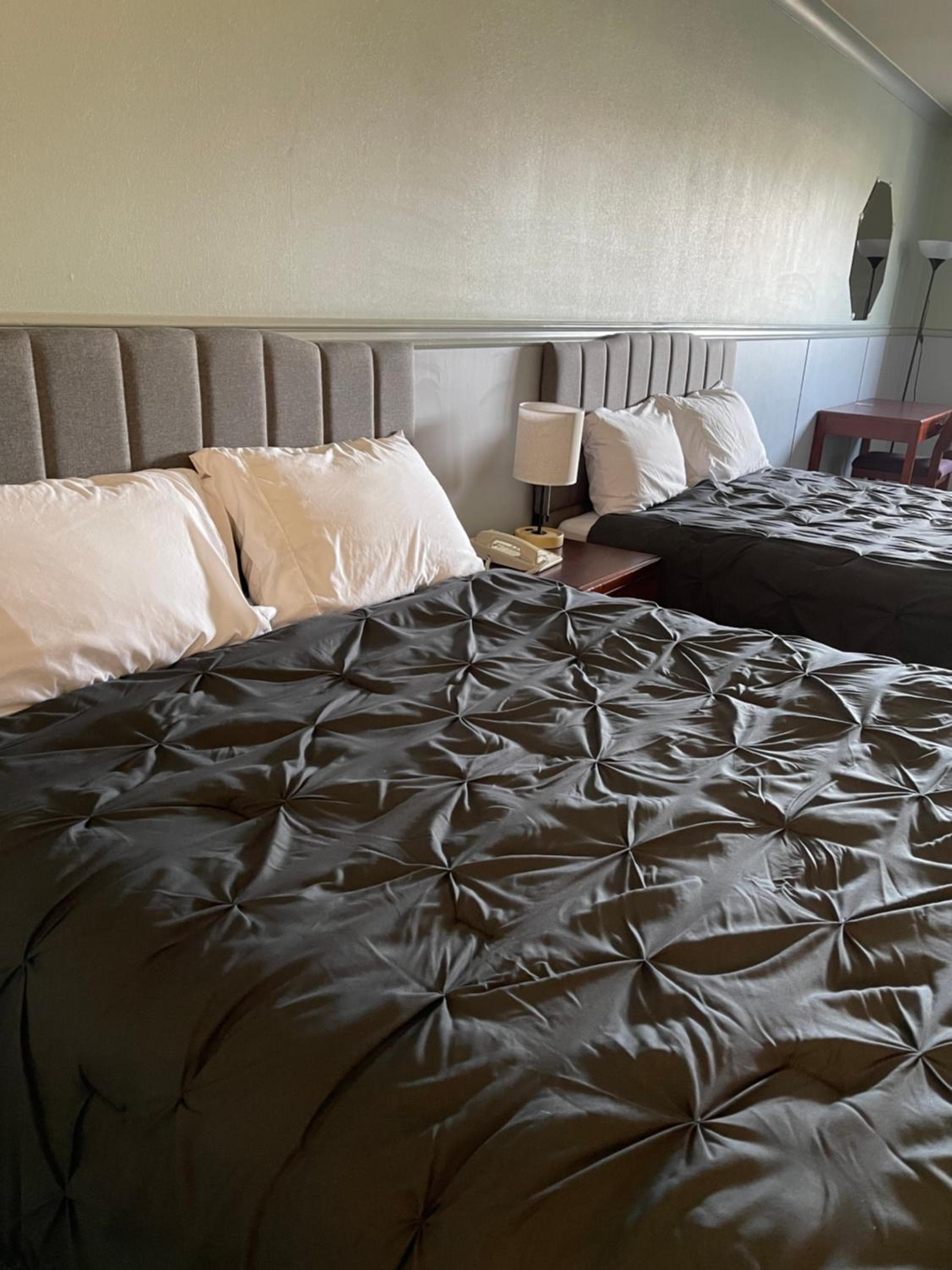Elite Hotel -Downtown Center- 24 hours "Ski & Northern light Tour" "Hot Spring Tour "Long-term stay"