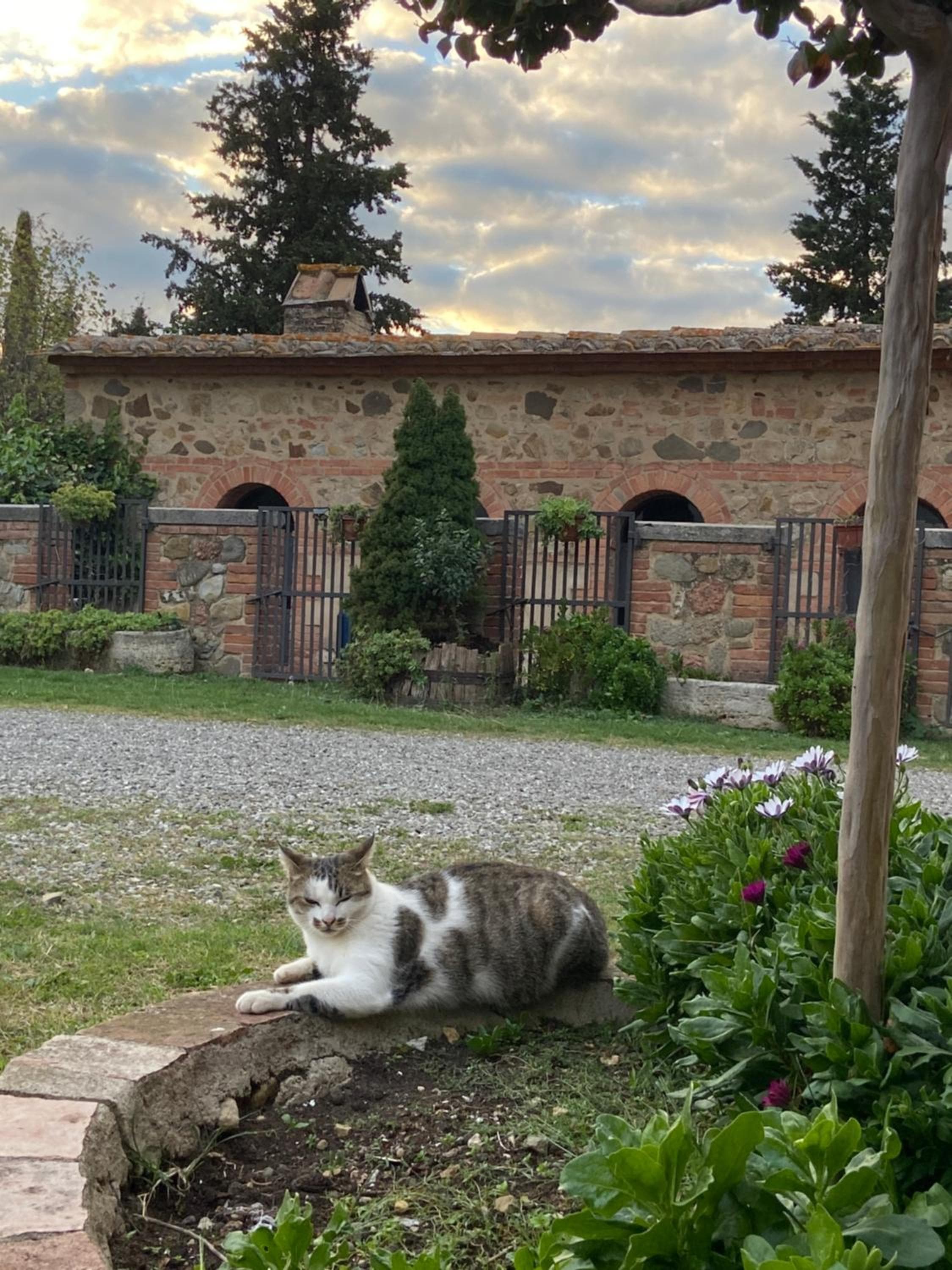 Agriturismo Il Pozzo