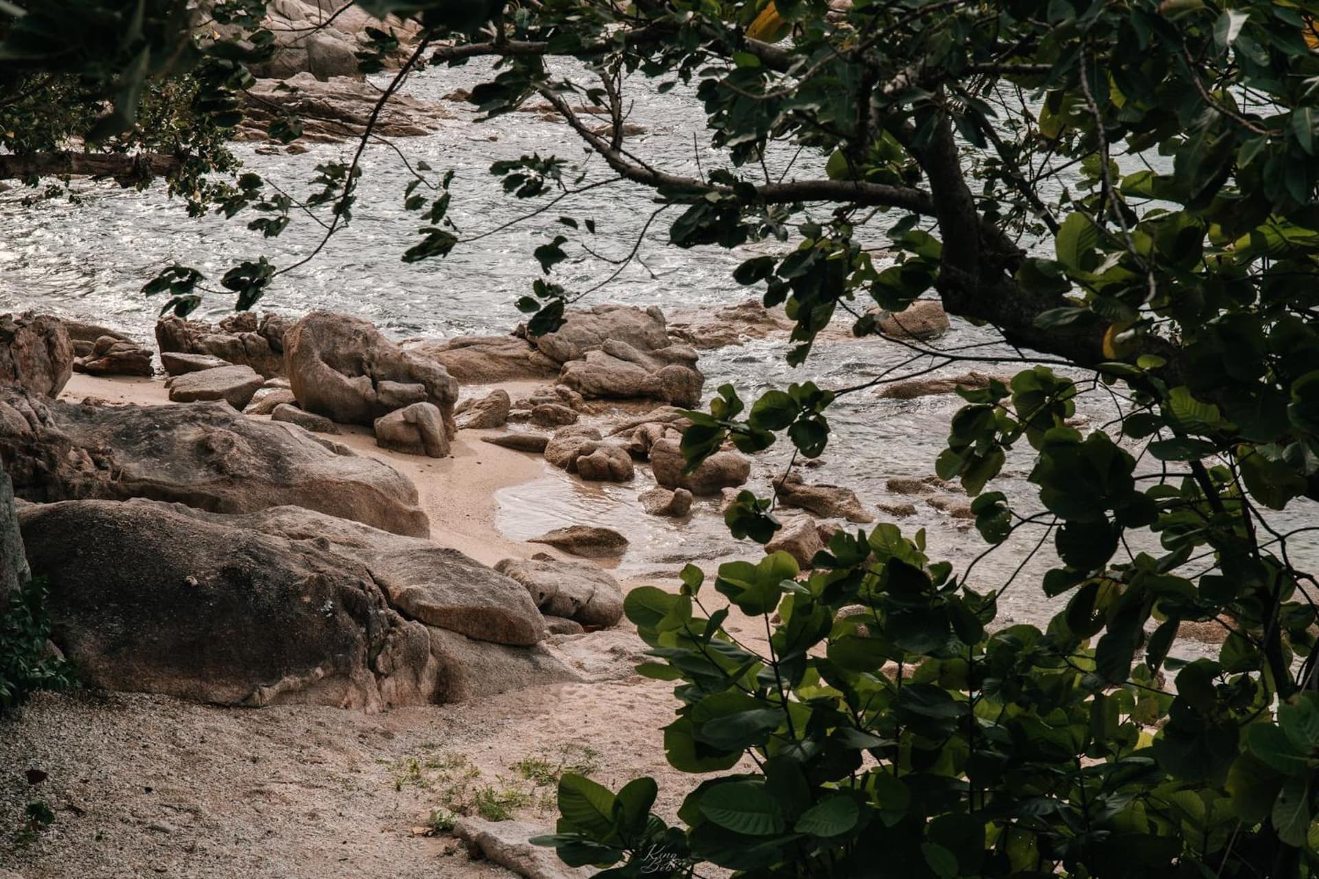 Sensi Paradise Beach Resort