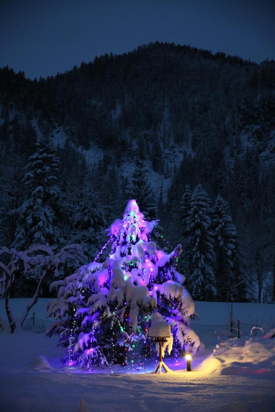 Alphotel Ettal
