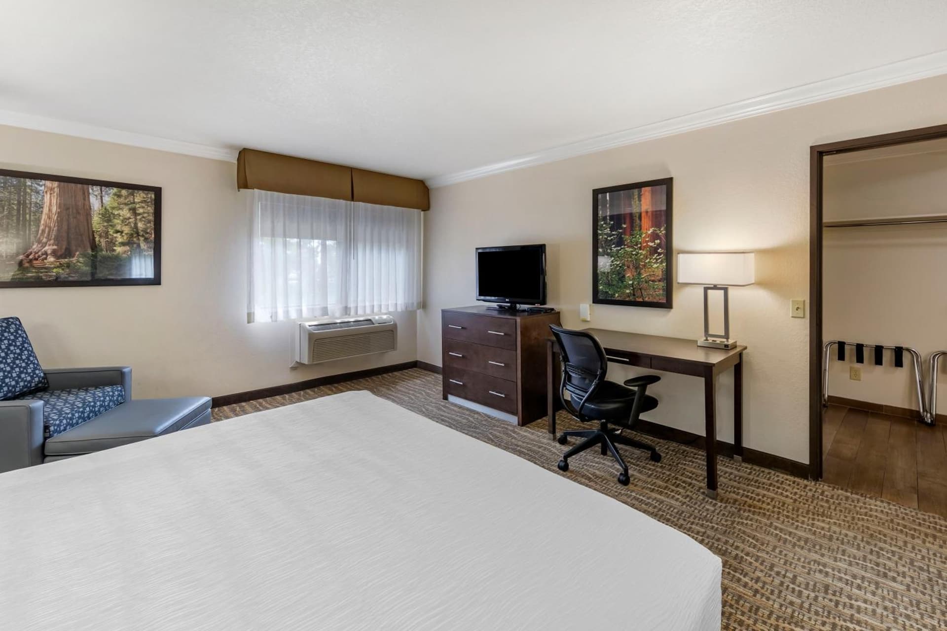 Best Western Town & Country Lodge