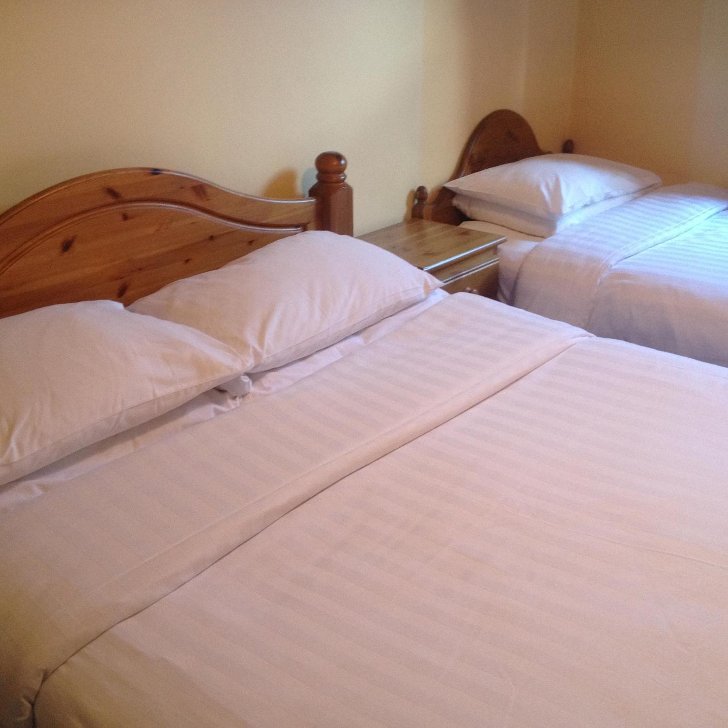 Twin Lions Hotel