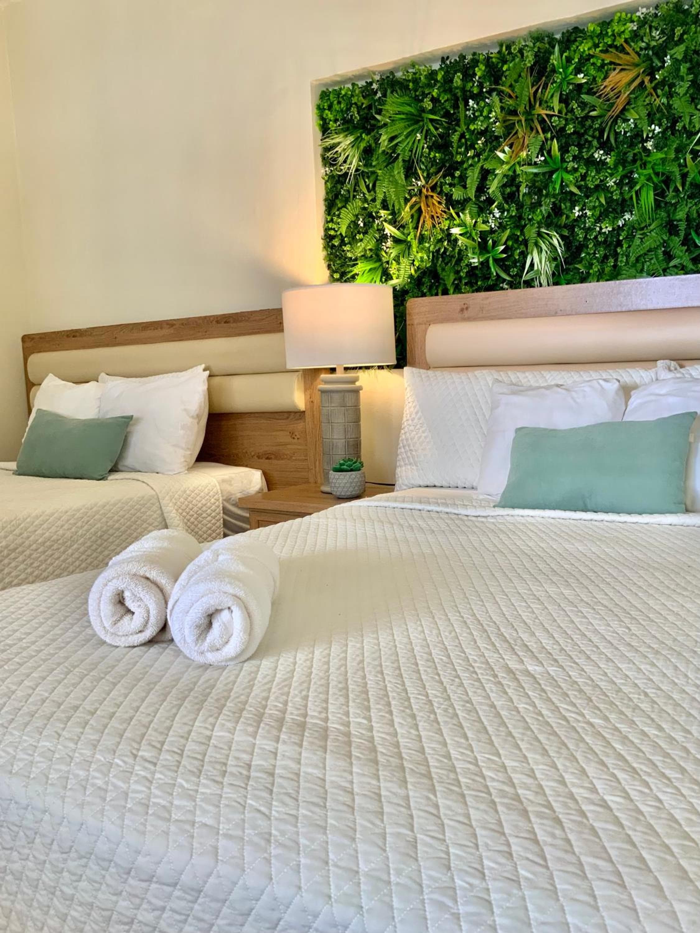 Paradise Surf Hotel