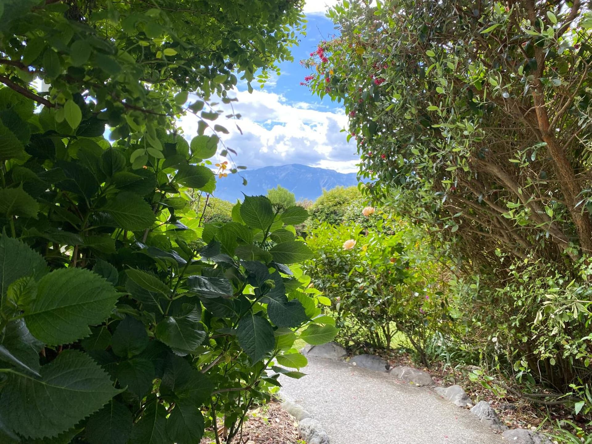 Nikau Lodge
