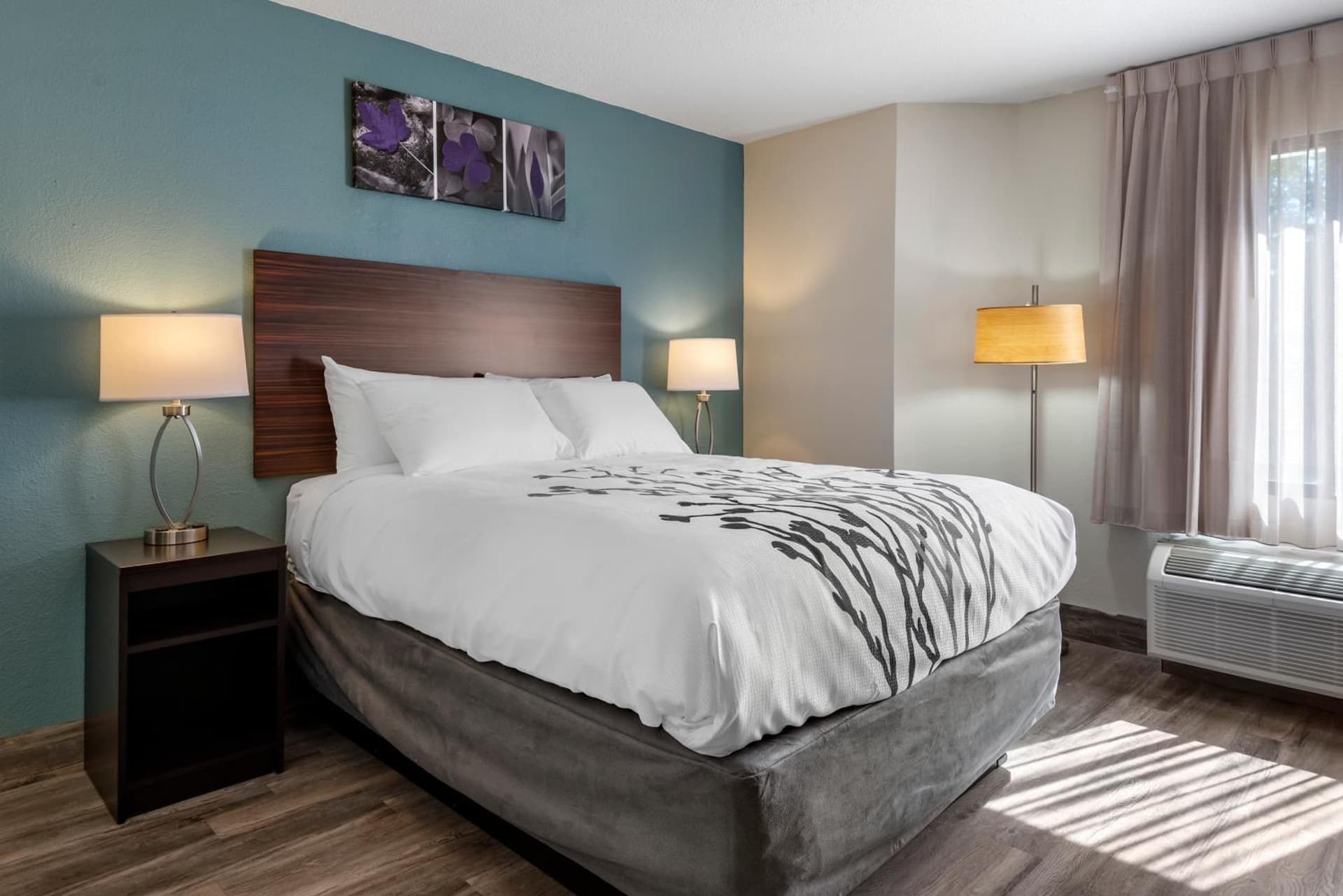 Sleep Inn - Salisbury I-85