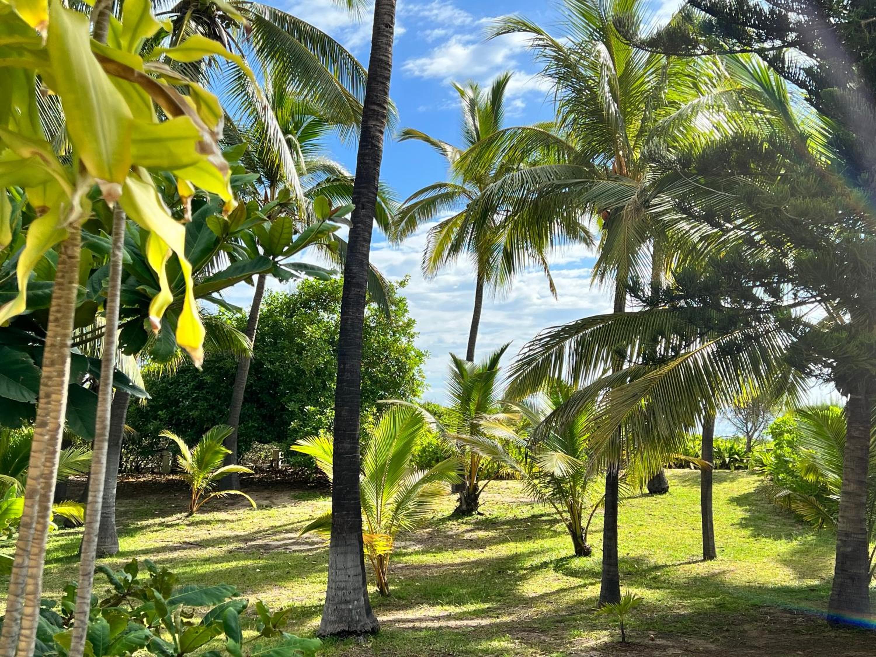 JOLIE CREOLE- Villa sur le lagon