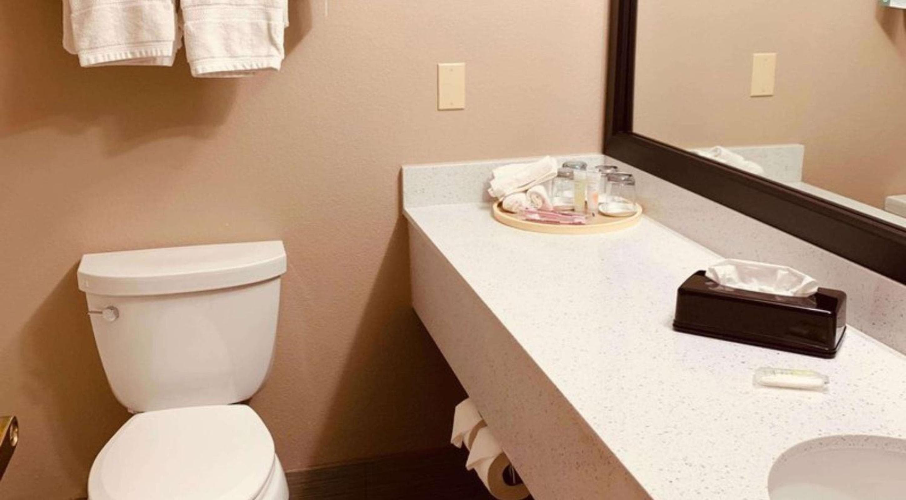 Comfort Suites Plano East - Richardson
