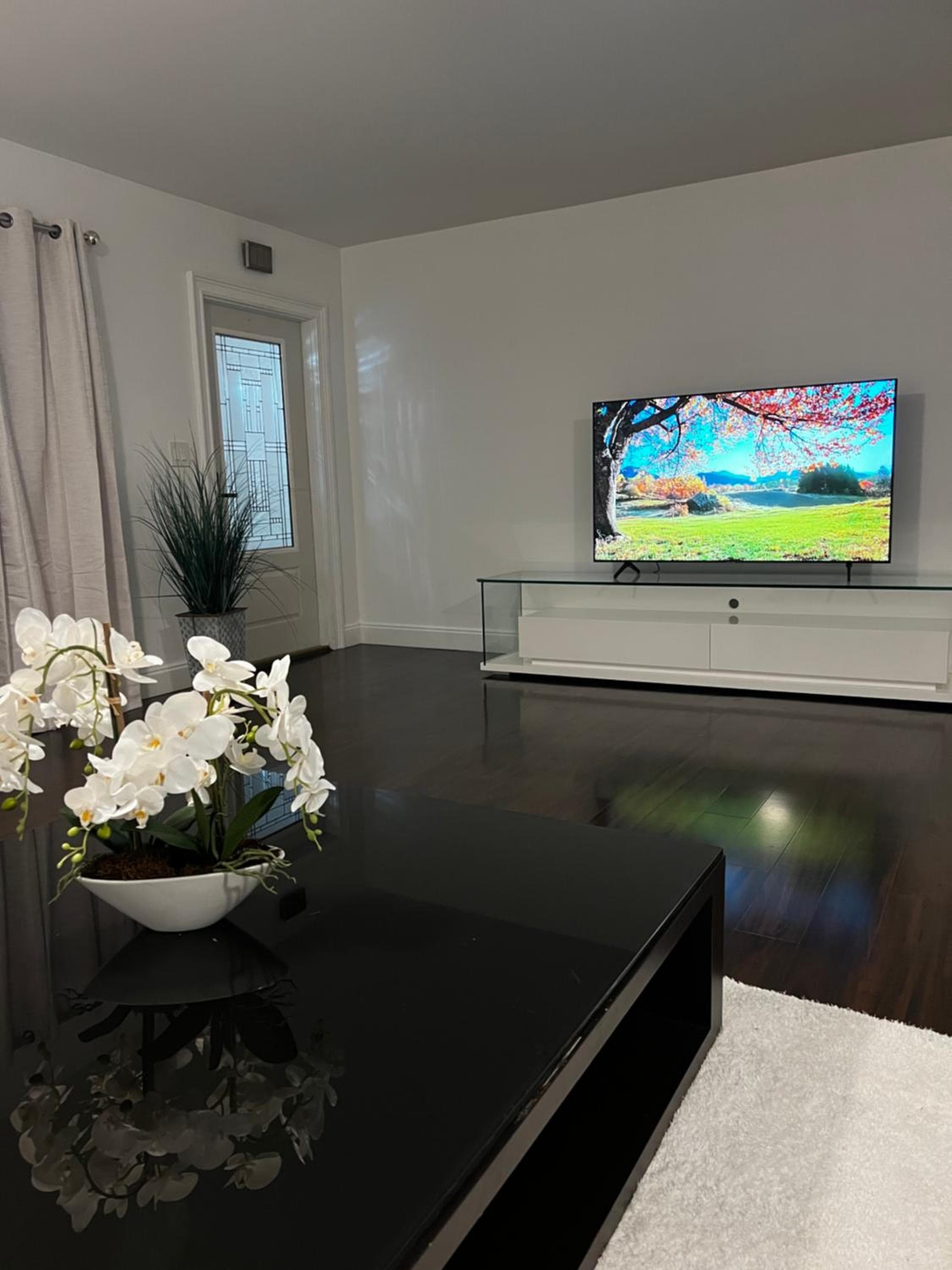 Gorgeous open concept 4 BR with heated pool and lounge area