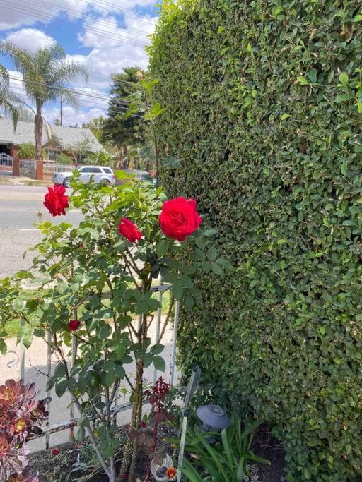 Vacation Rental w Pool &Garden 6 Guests near CSUN