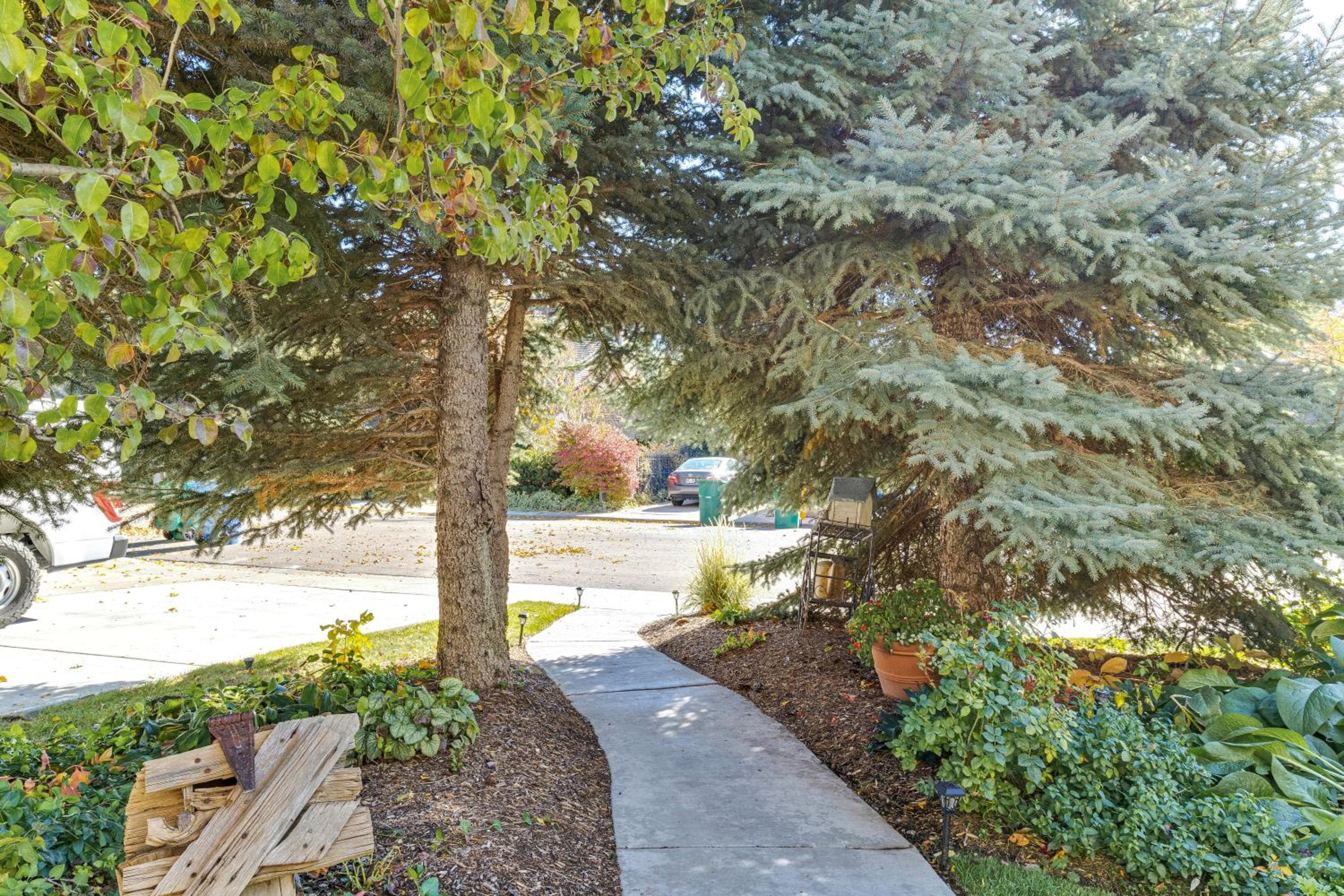 Heart of Orem Basement 3 bedroom Apartment w/ Waffles.