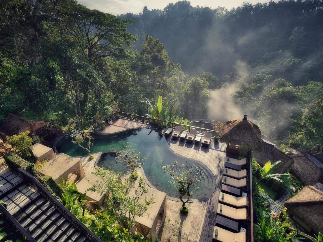 Nandini Jungle by Hanging Gardens