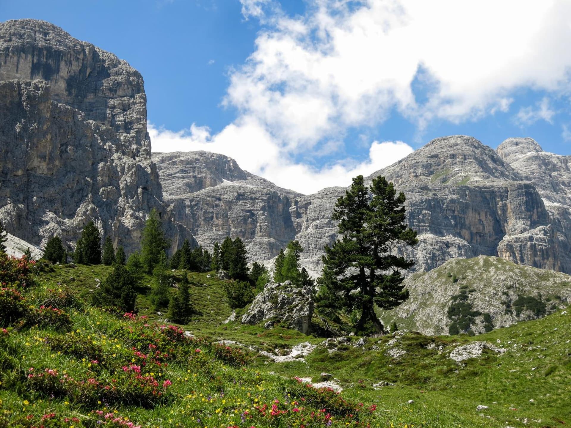 Alpine Mountain Chalet