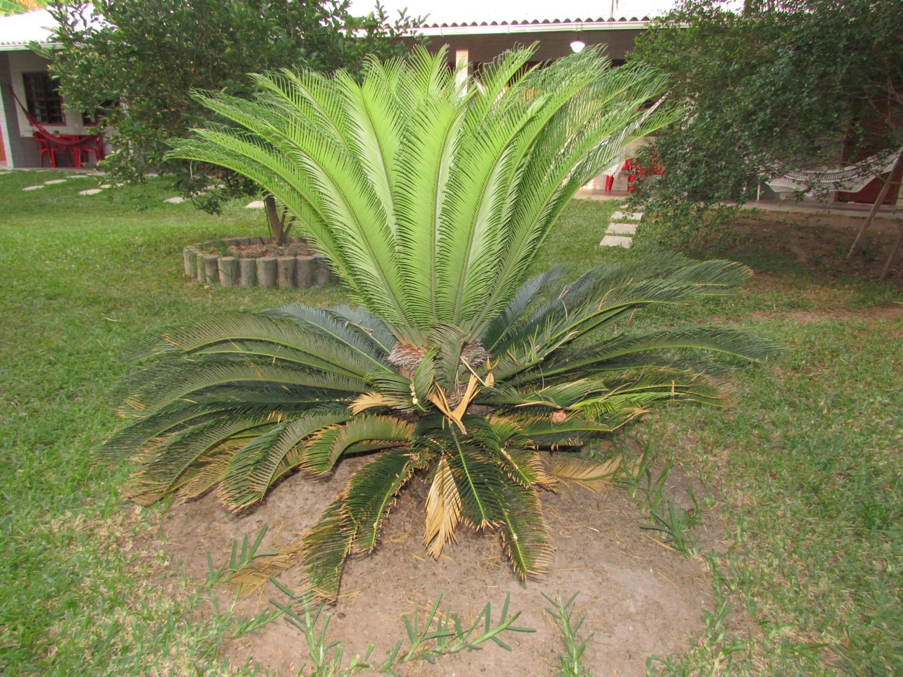 Hotel Pousada Ipitanga IV