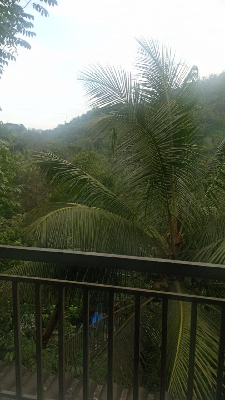 Riya Home Stay Munnar