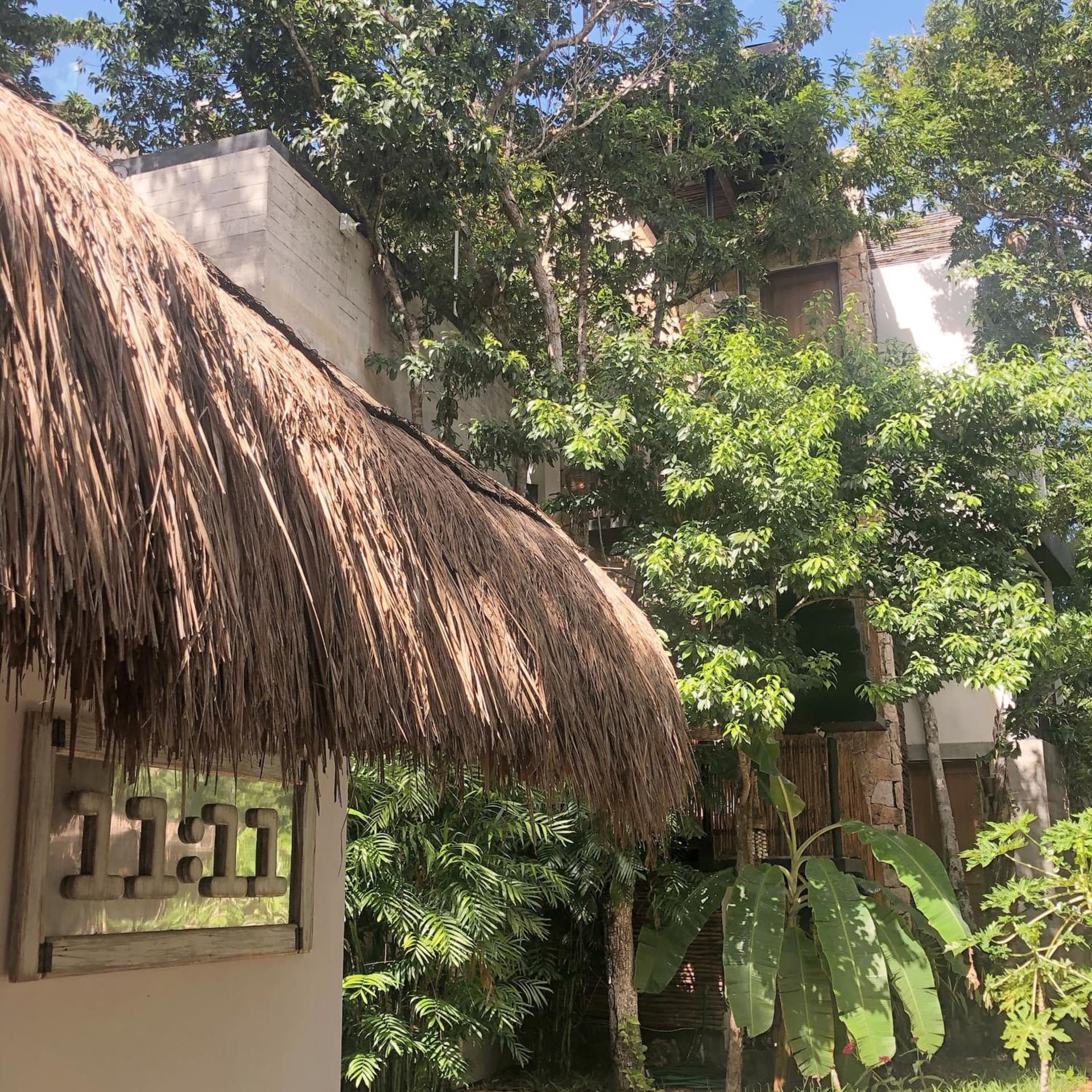 La Casa de María 11:11