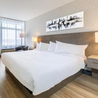 Repotel Levis