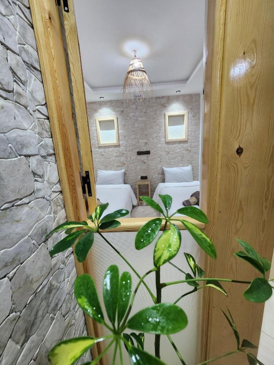 Green Surf House