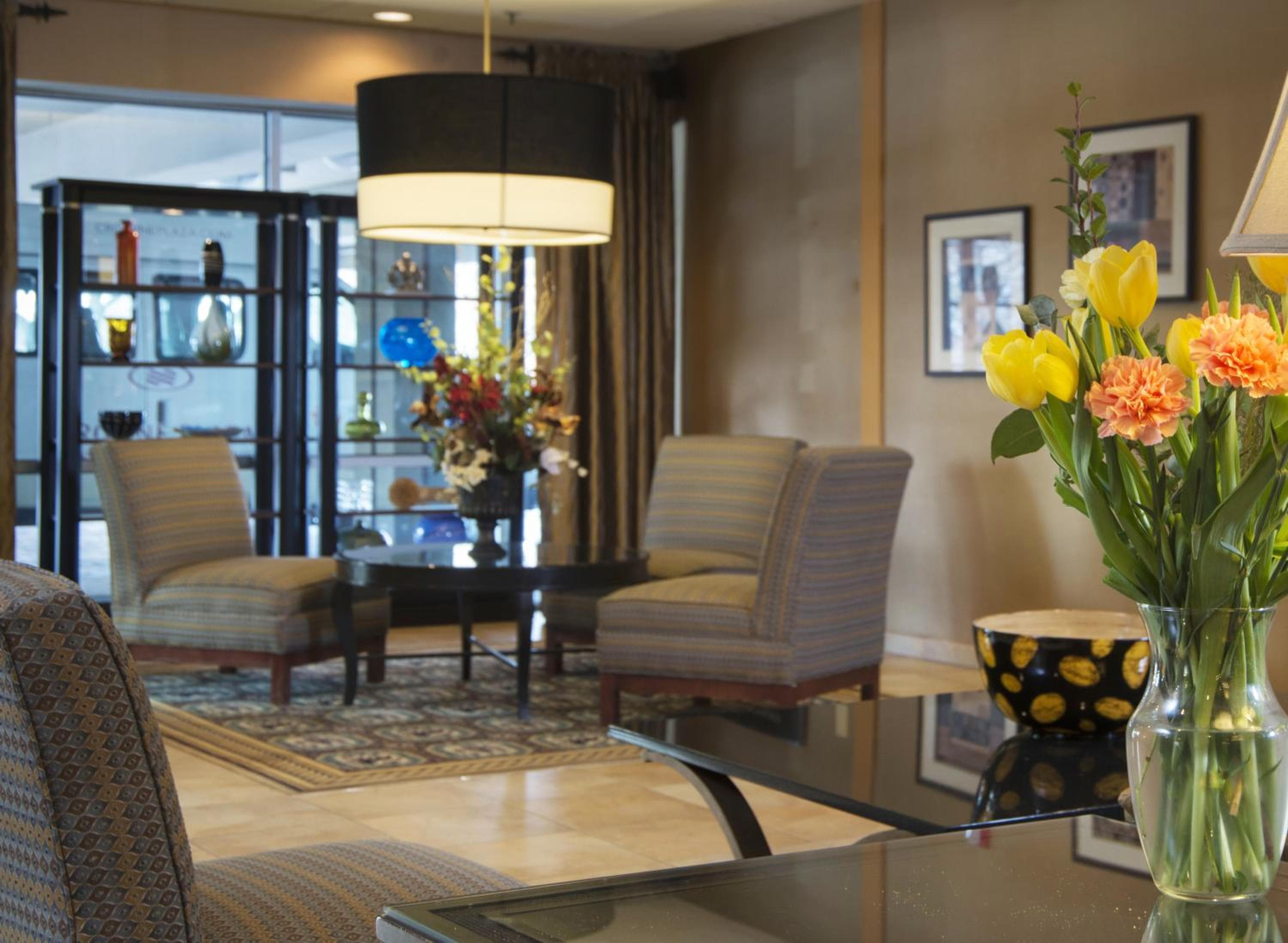 recepcion & lobby