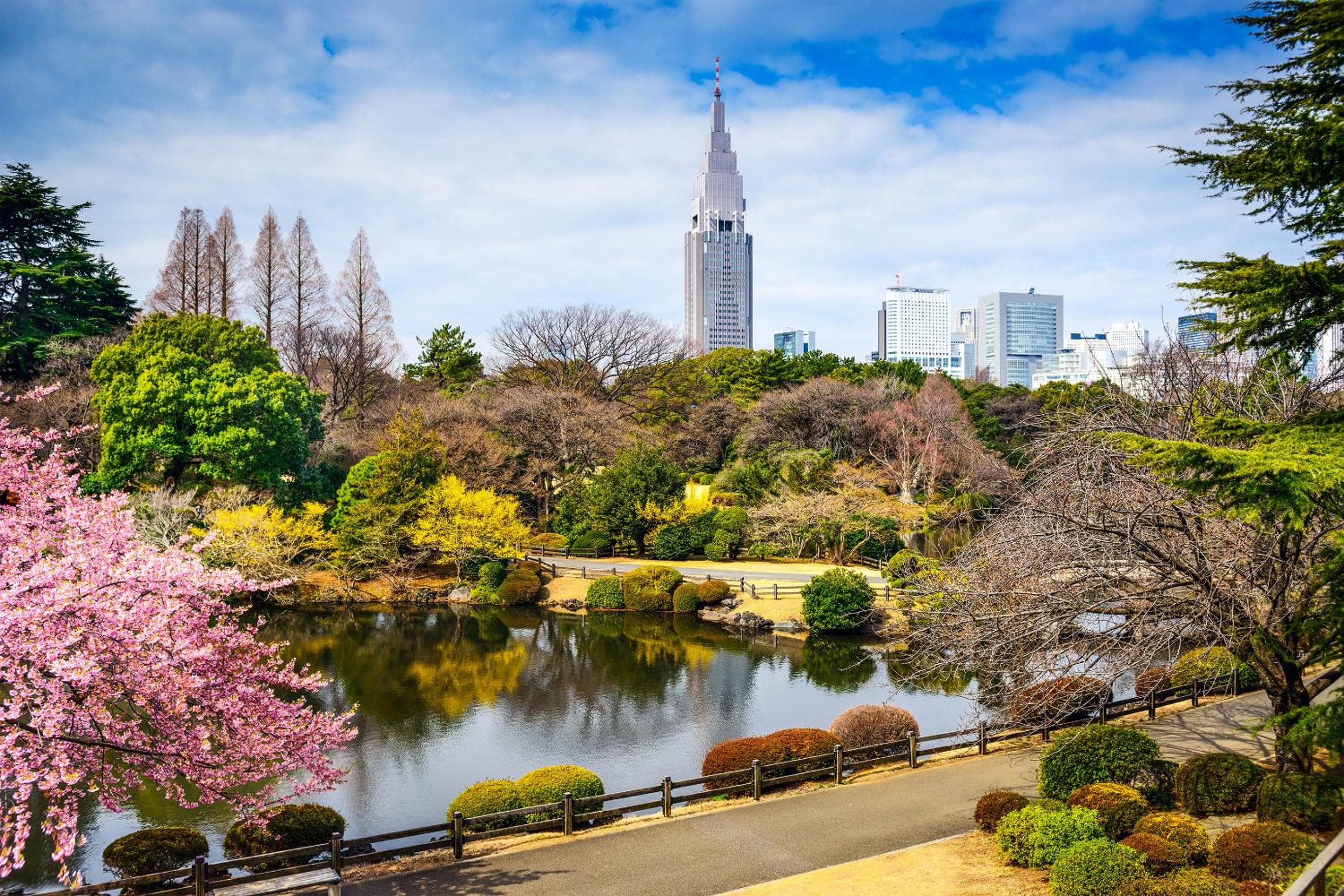 HOTEL MYSTAYS Nishi Shinjuku