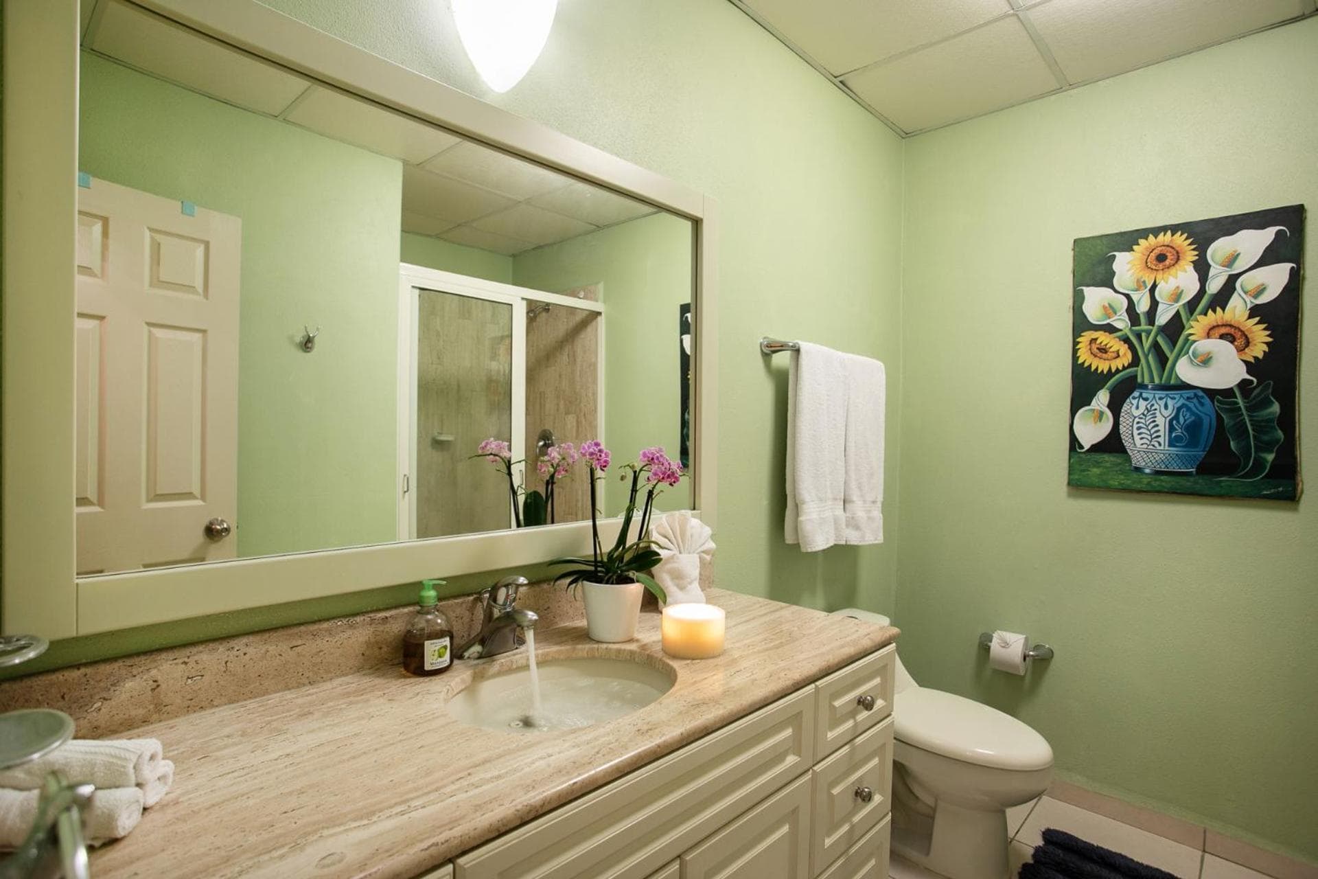 5 Star Lg 1 BDR Playa Royale Oceanfront-