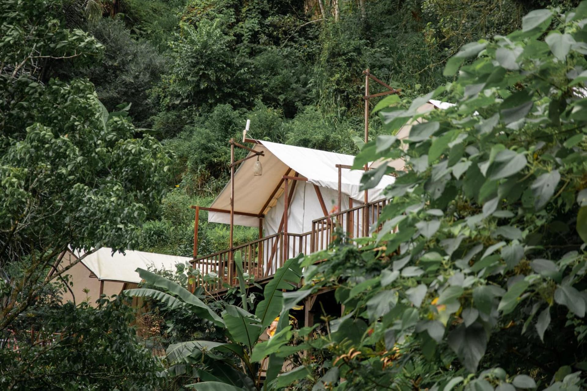 Glamping tent in Pelaga Eco Park