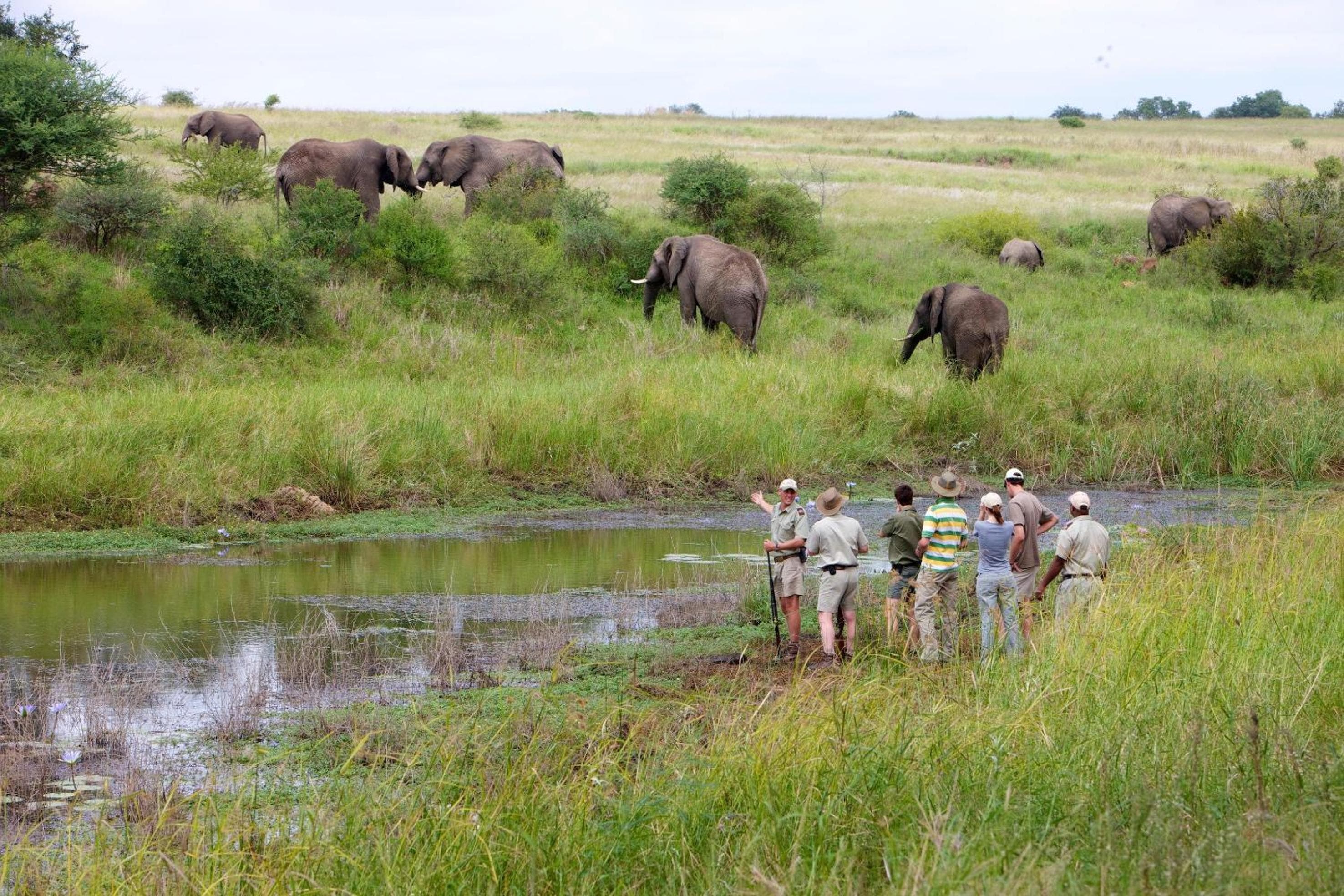 Kapama Southern Camp