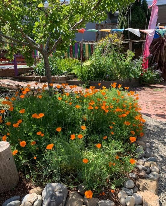 Relaxing 3 bedroom Santa Cruz house, 5min to beach