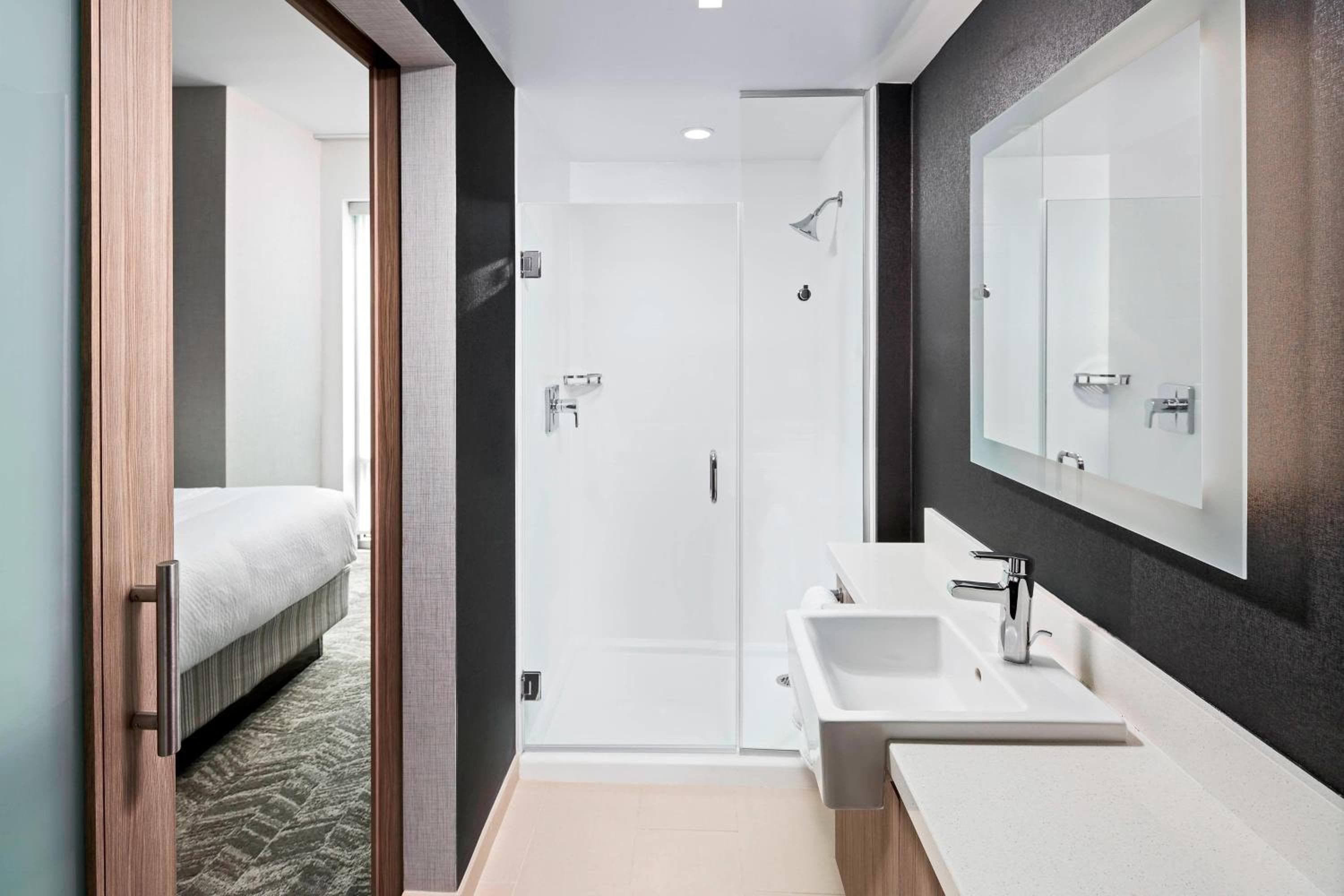 SpringHill Suites by Marriott Greenville Downtown