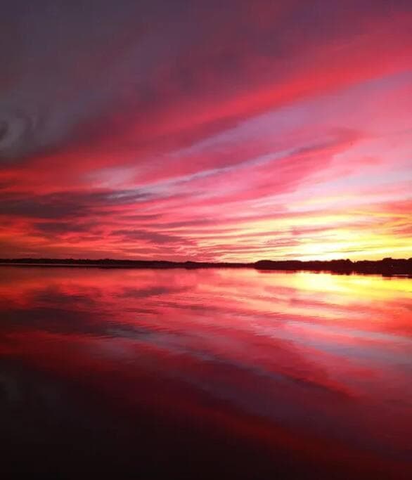 Paradise on Lake Harris Apt #202