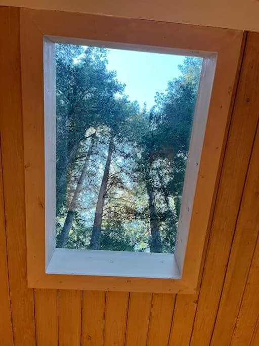 Window to the Redwoods - Near Downtown MV, Dipsea Trail, & Muir Woods