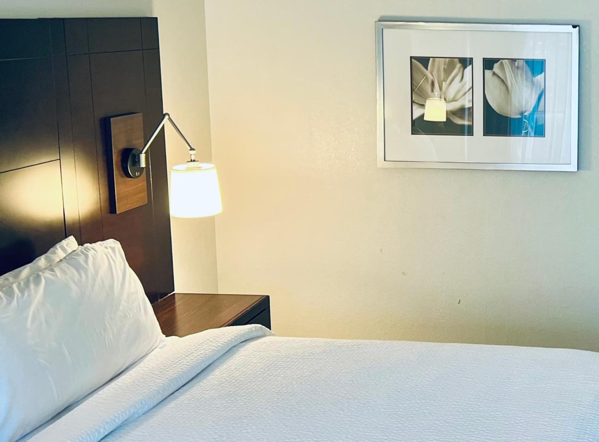 Holiday Inn Virginia Beach - Norfolk by IHG