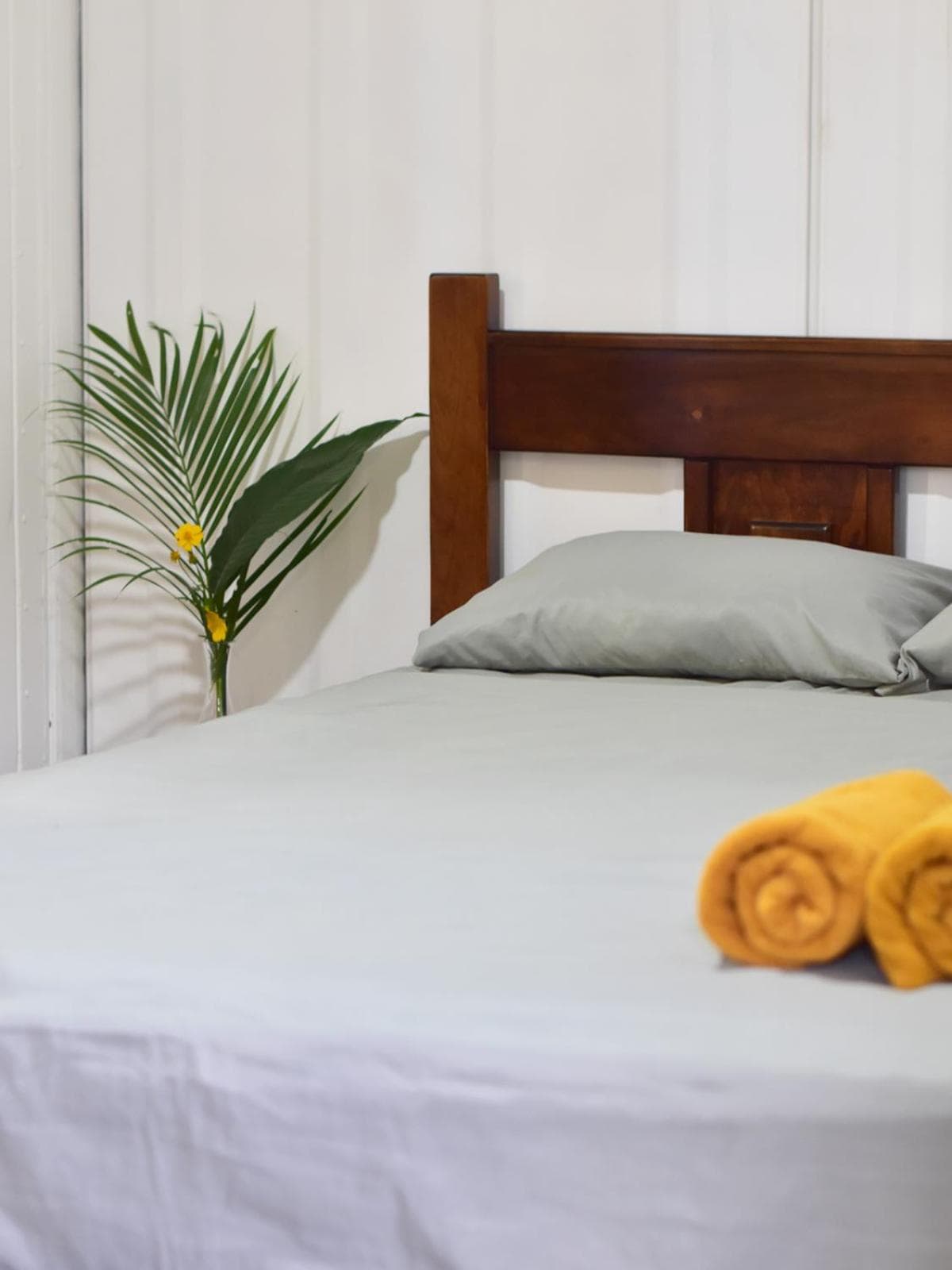 Guesthouse Congo Tempisque
