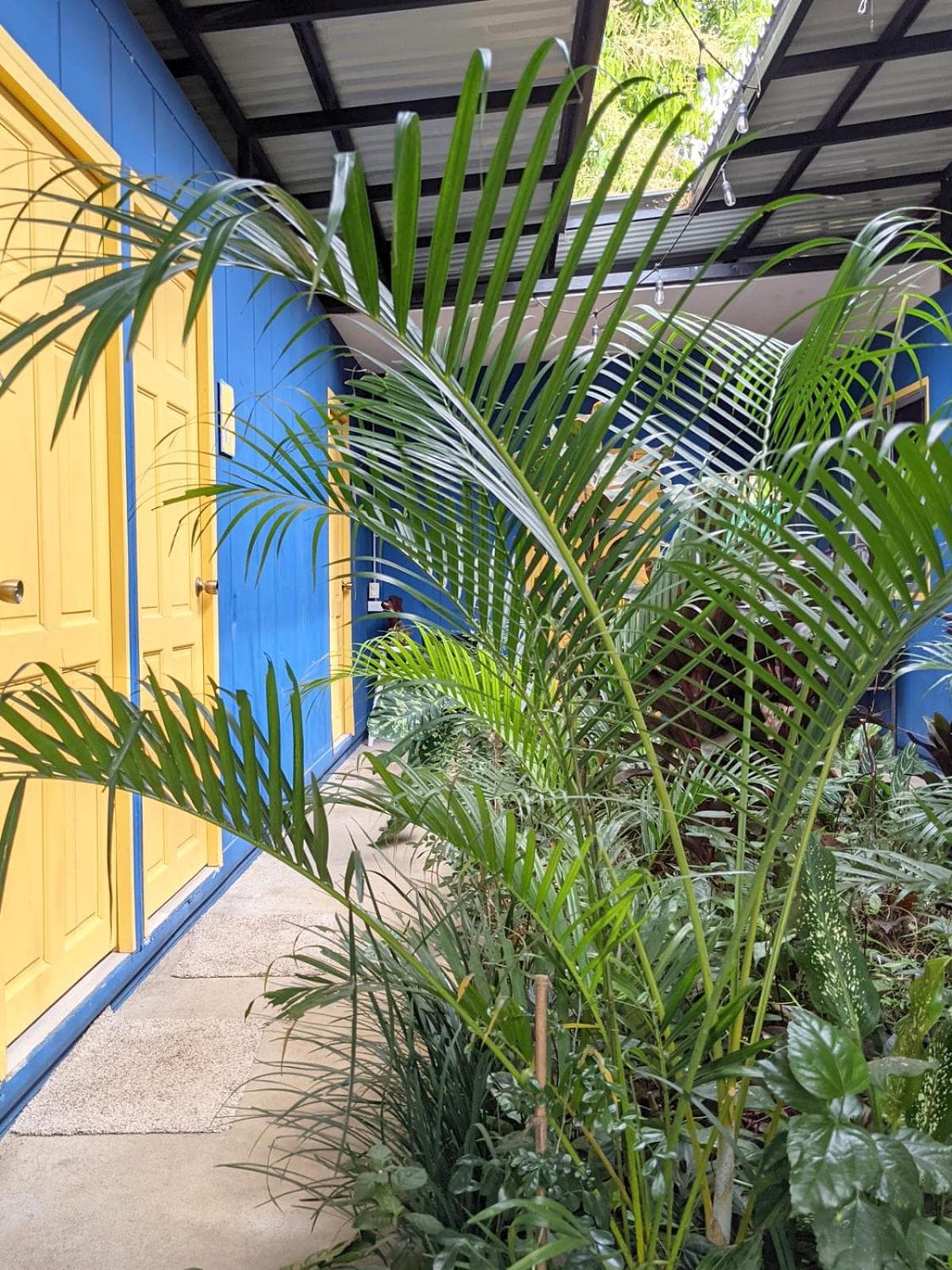 Guesthouse Congo Tempisque