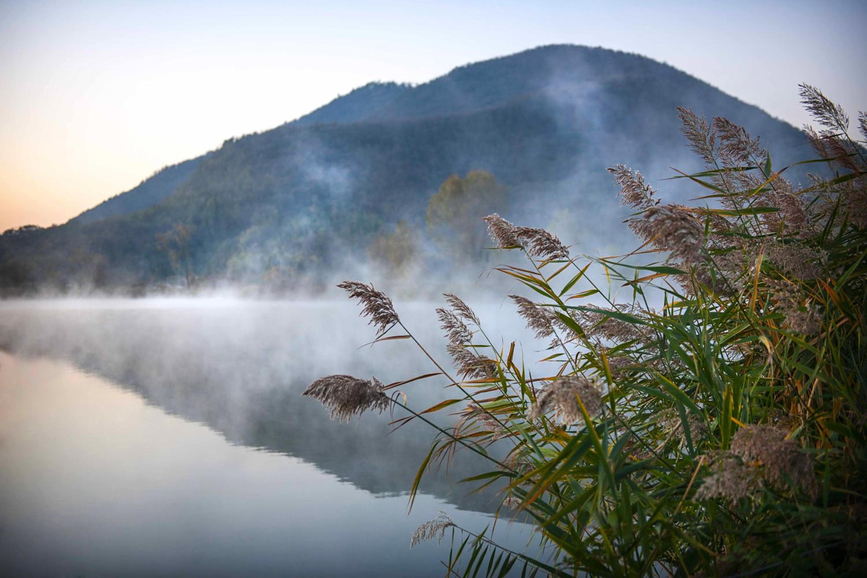 Terme Preistoriche Resort & Spa
