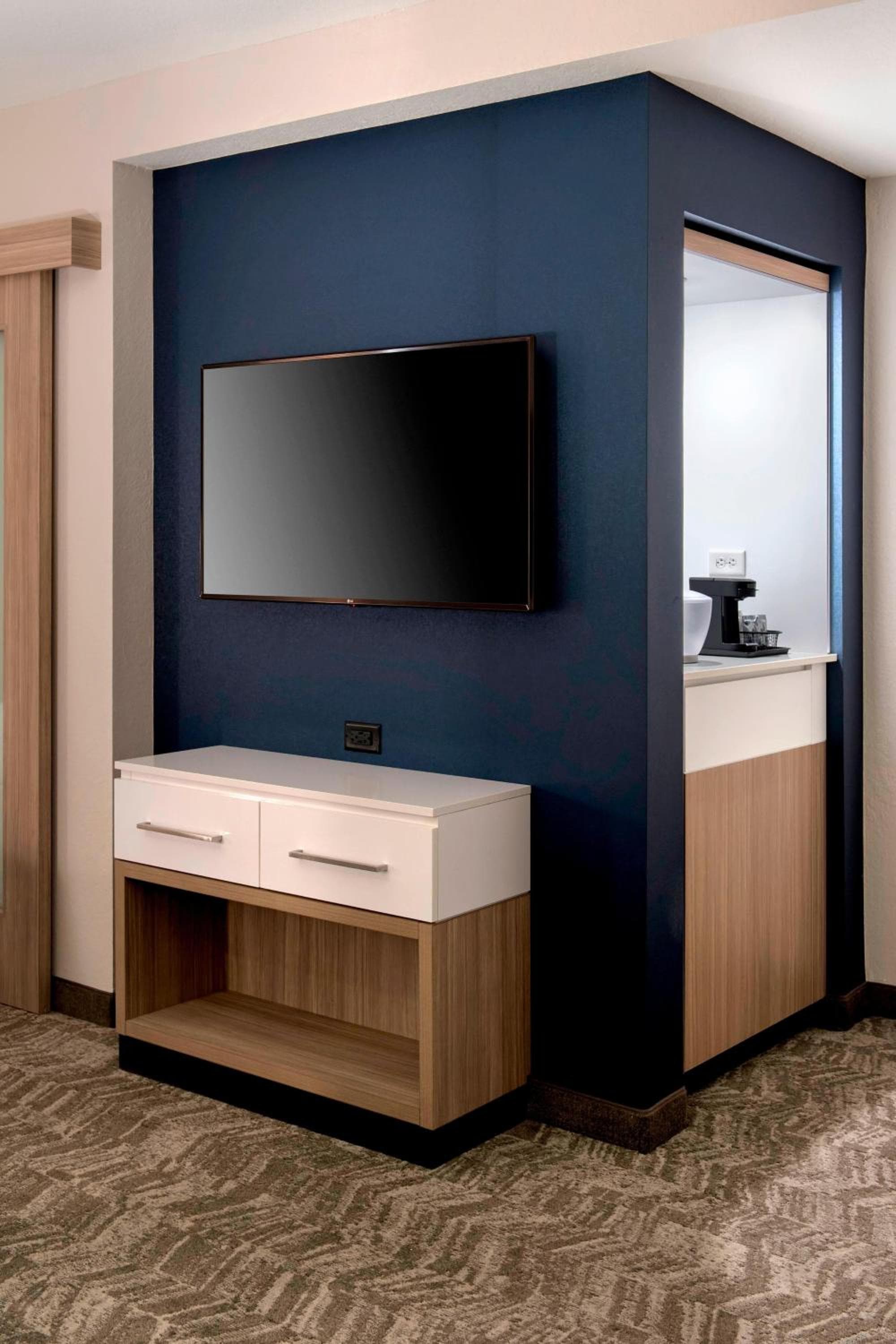 SpringHill Suites by Marriott Tampa Suncoast Parkway