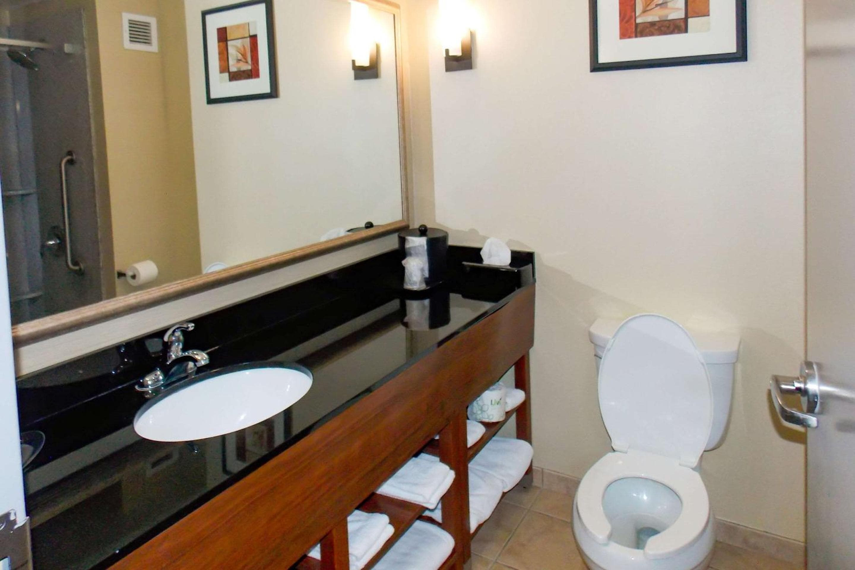 Comfort Suites Salem-Roanoke I-81