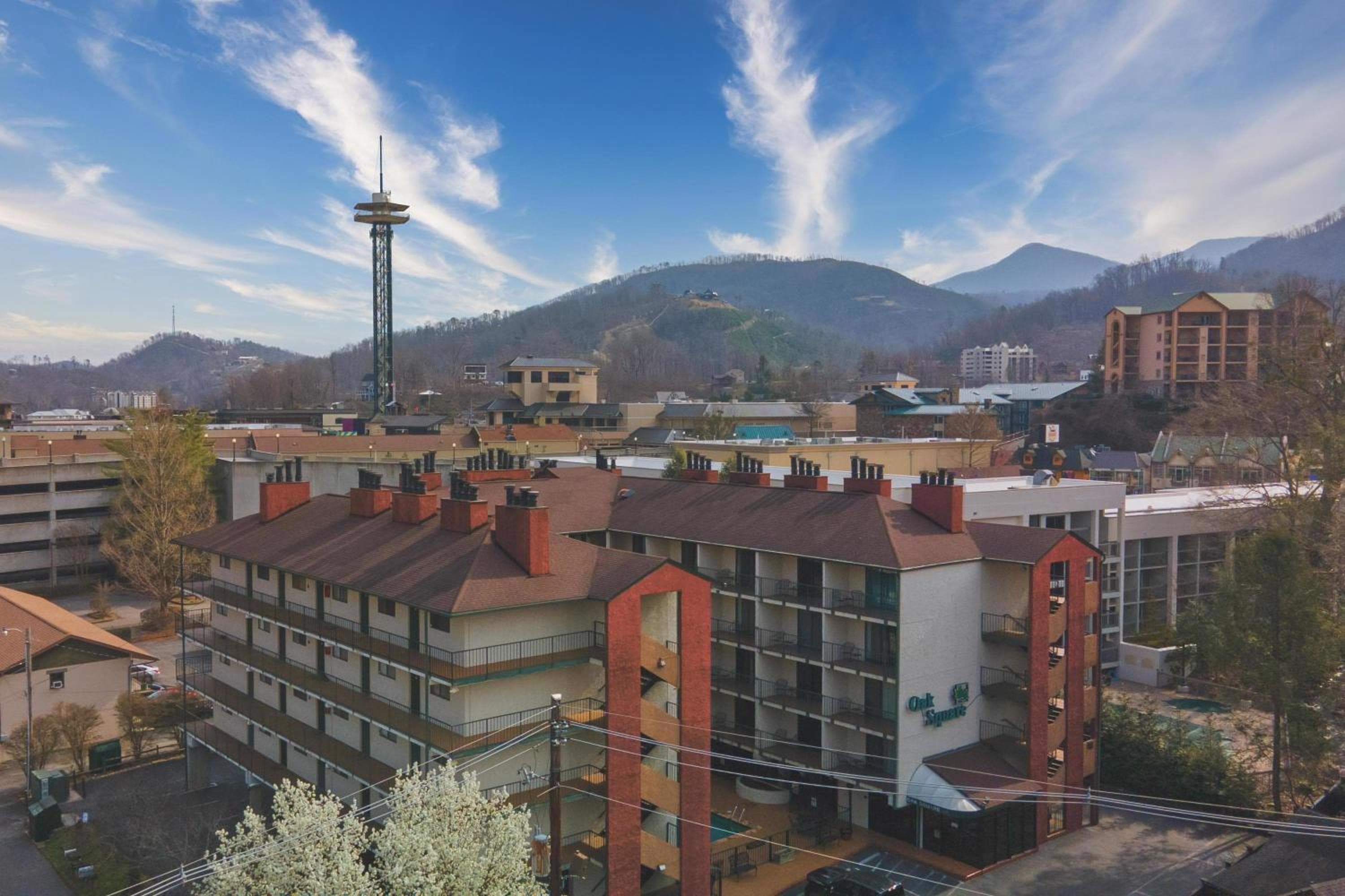 Oak Square - Unit 403