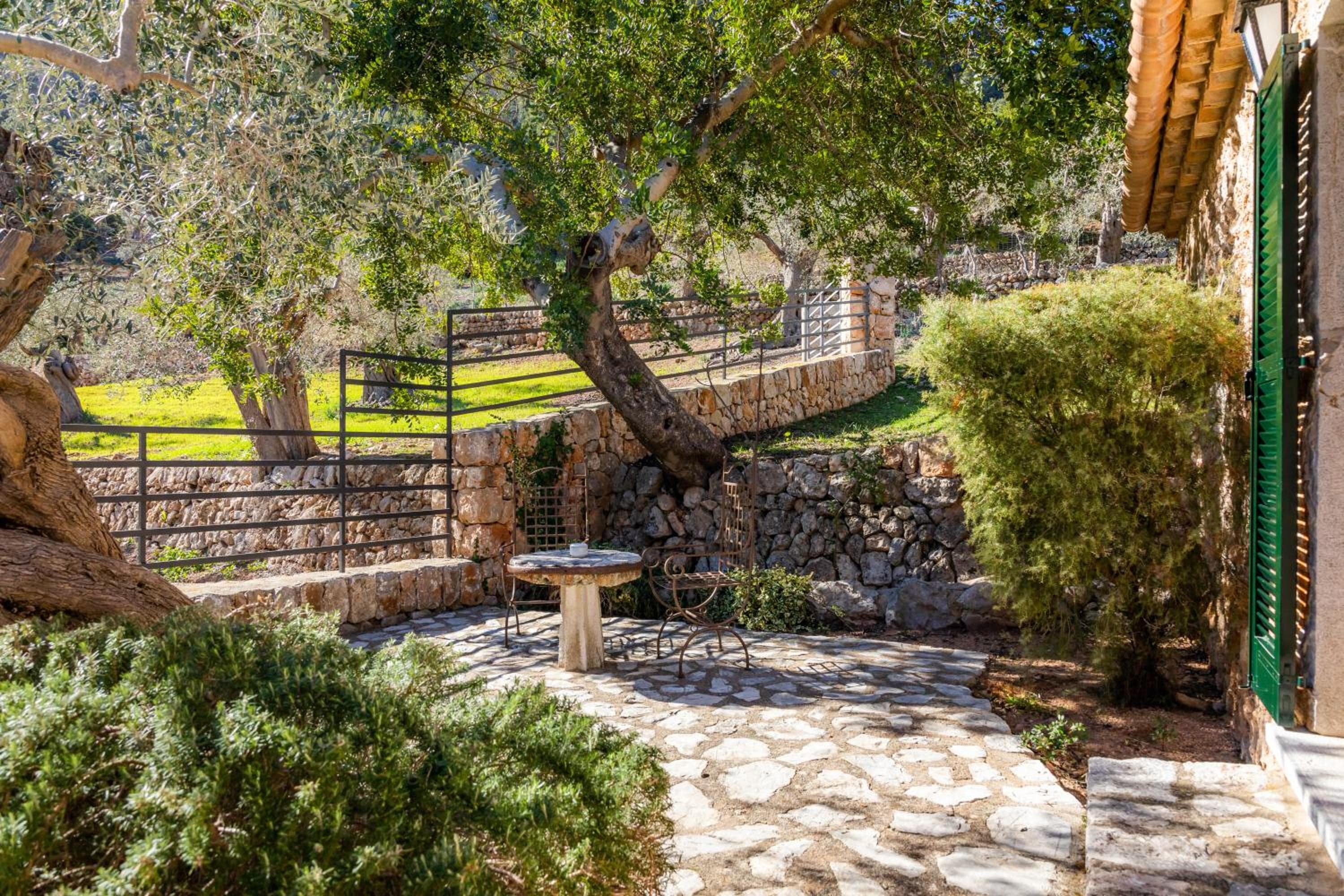 Finca Albellons