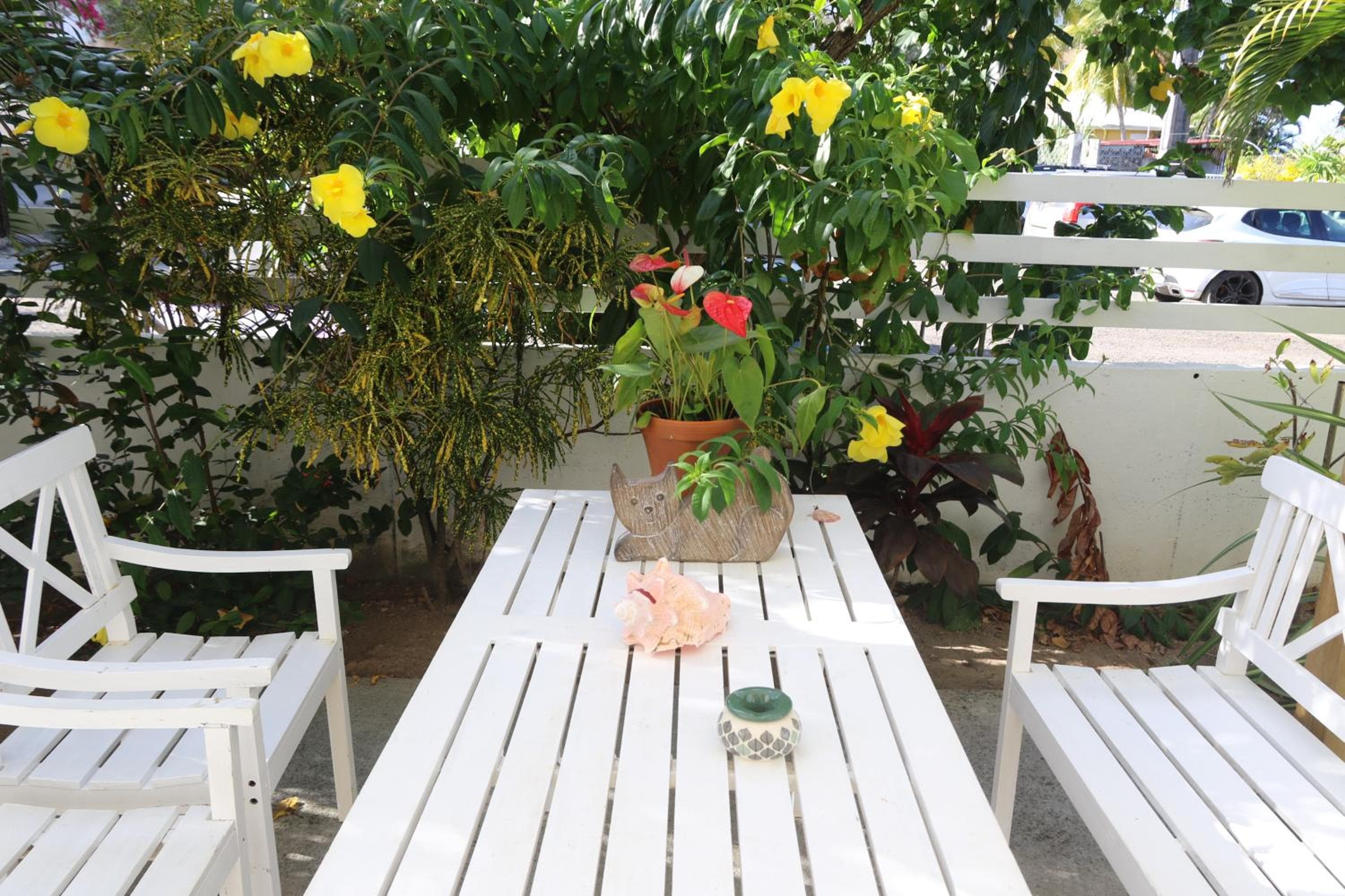 Le Colibri et le Frangipanier