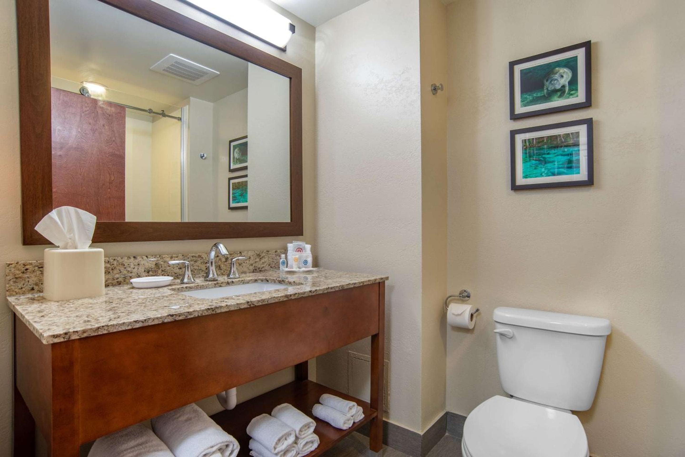 Comfort Suites Tallahassee Capitol - University Area