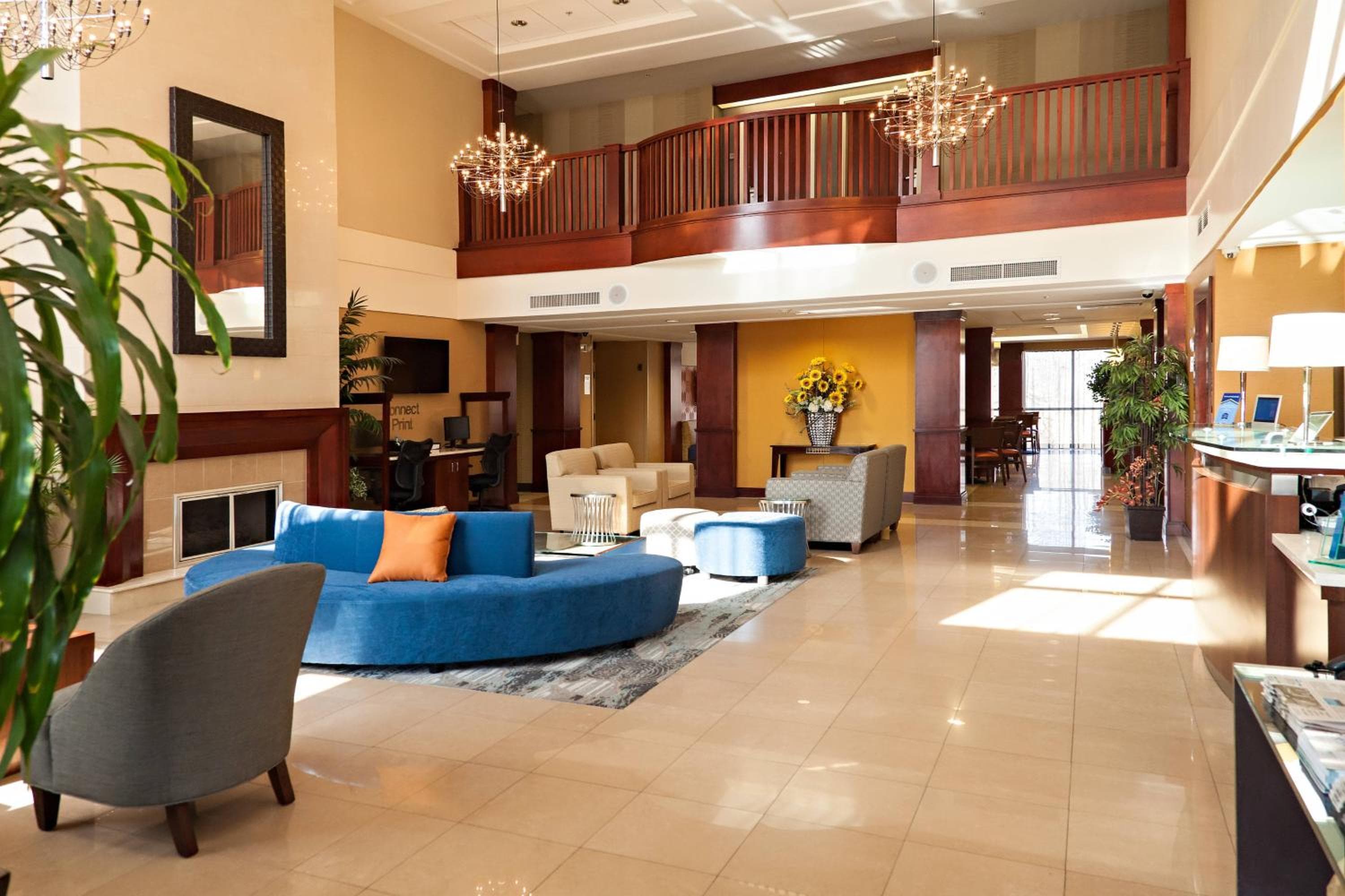 recepcion & lobby