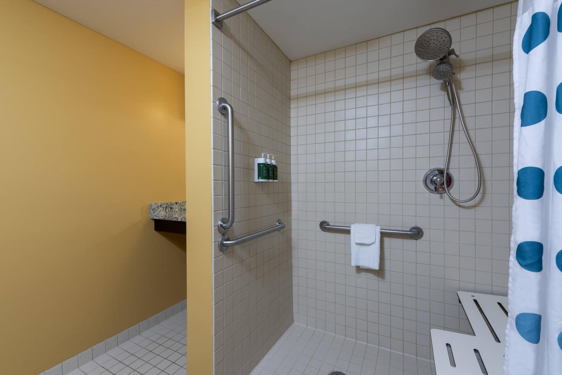 TownePlace Suites by Marriott East Lansing