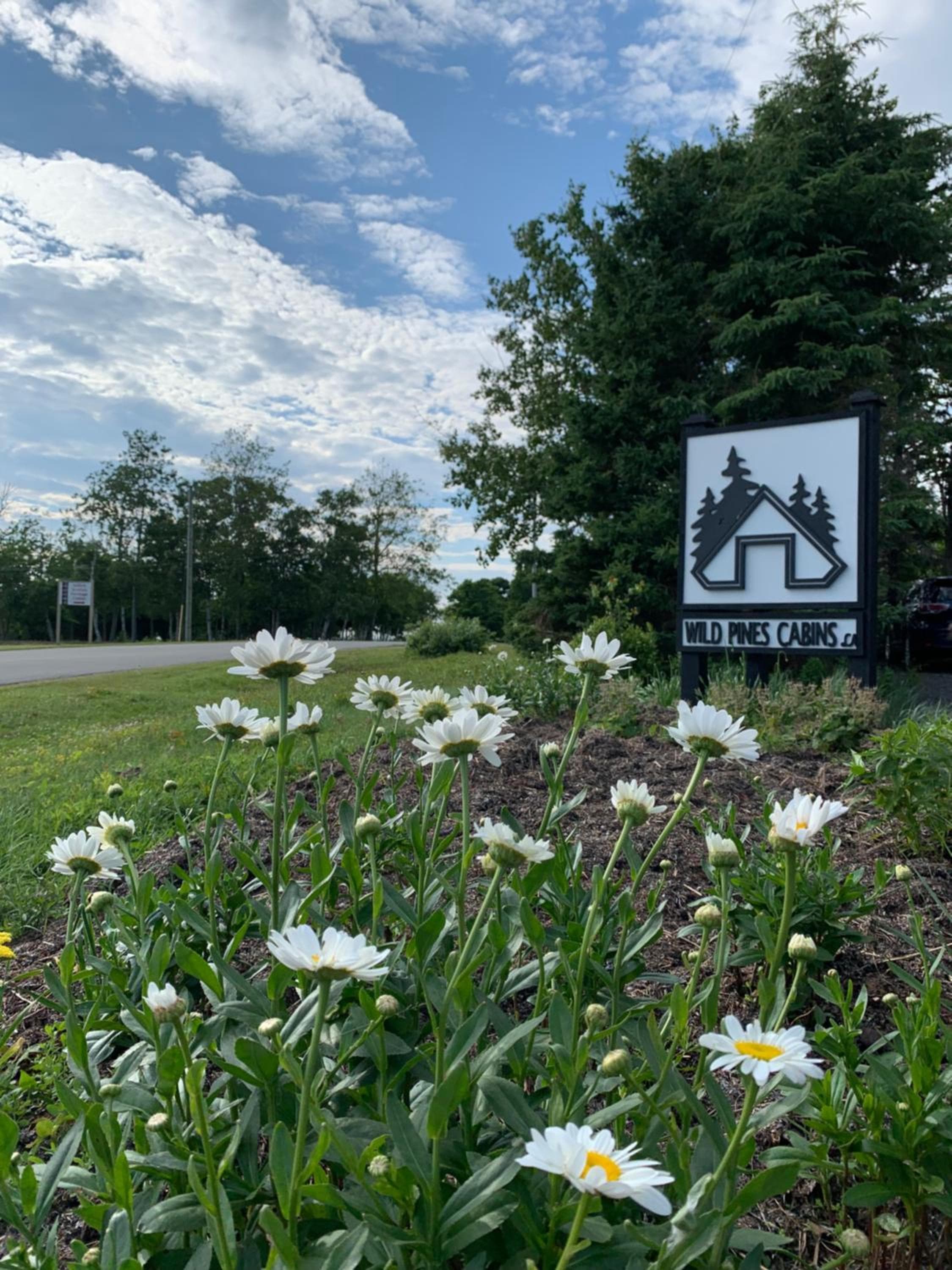 Wild Pines Cabins