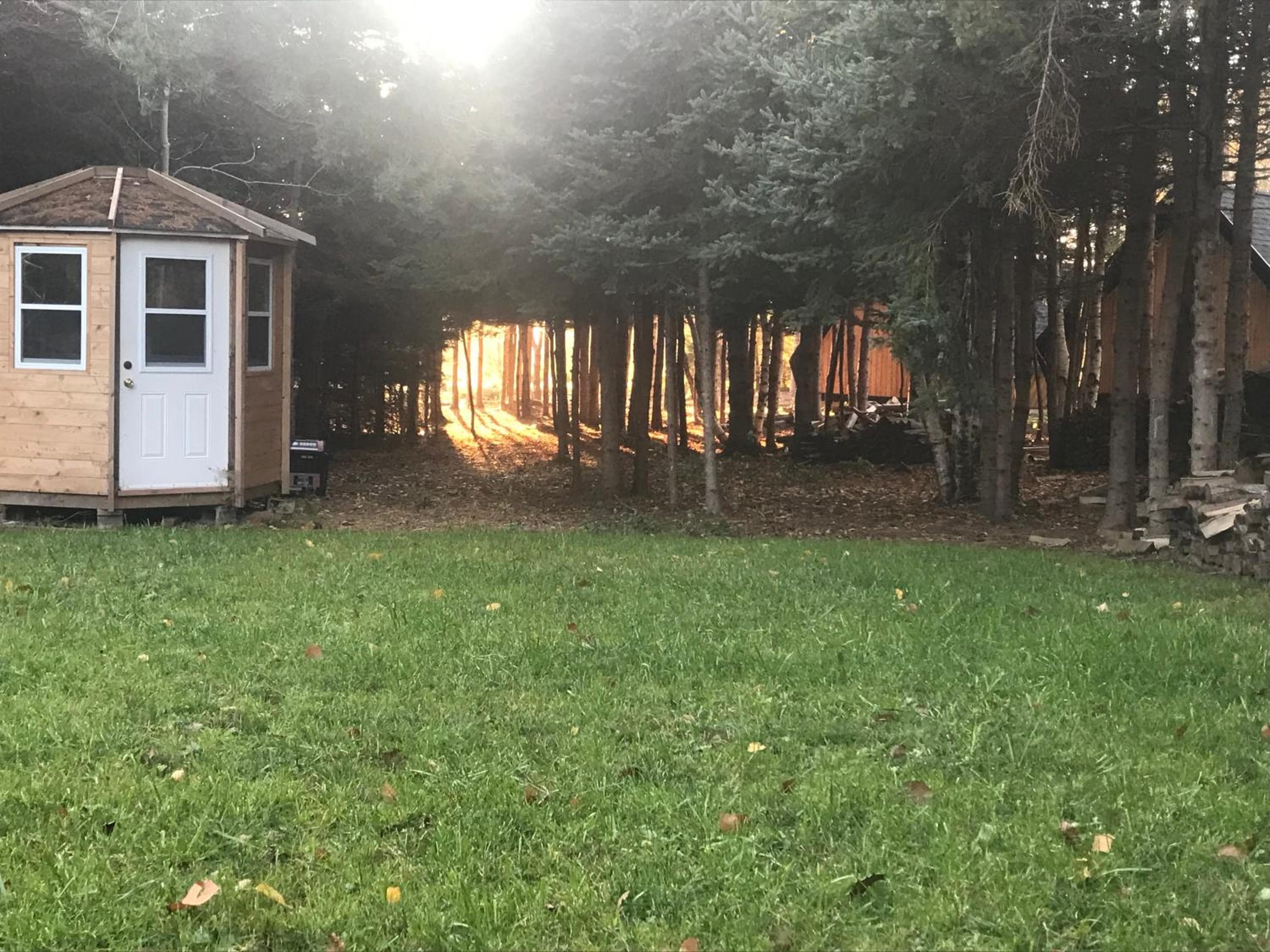 Wild Pines Cabins