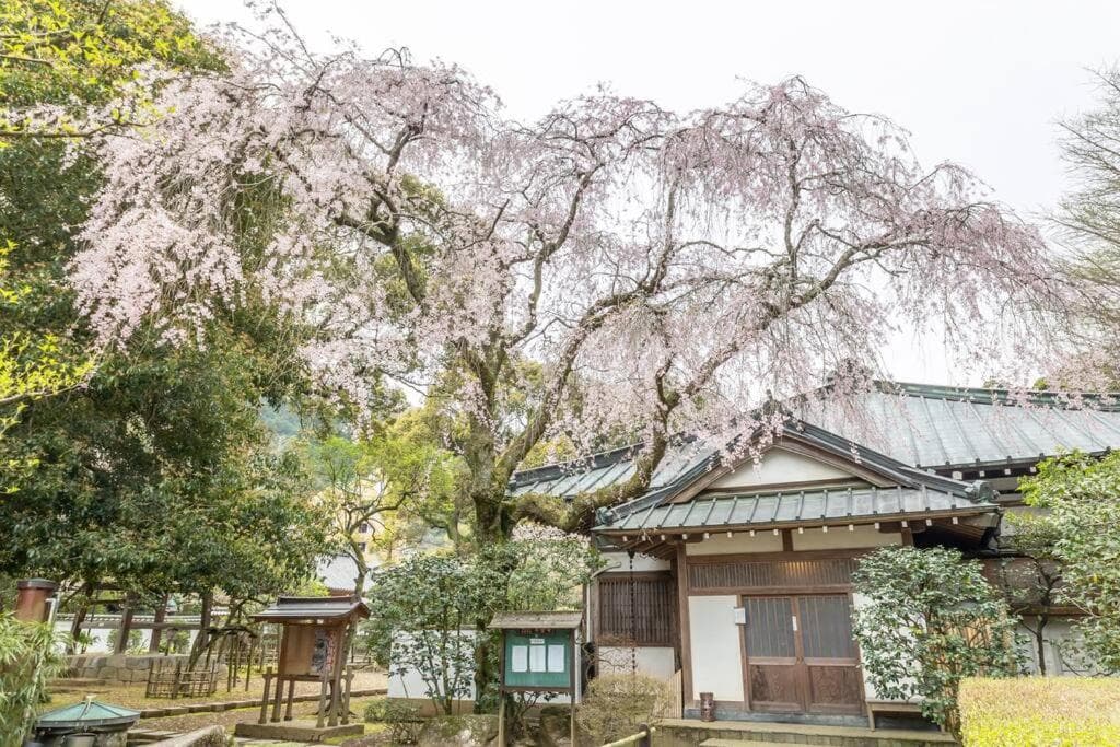 LINKAGE STAY HAKONE YUMOTO
