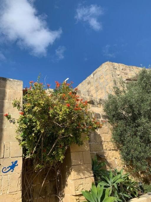 Dar Dragun: luxury 3BR bright spacious house & pool