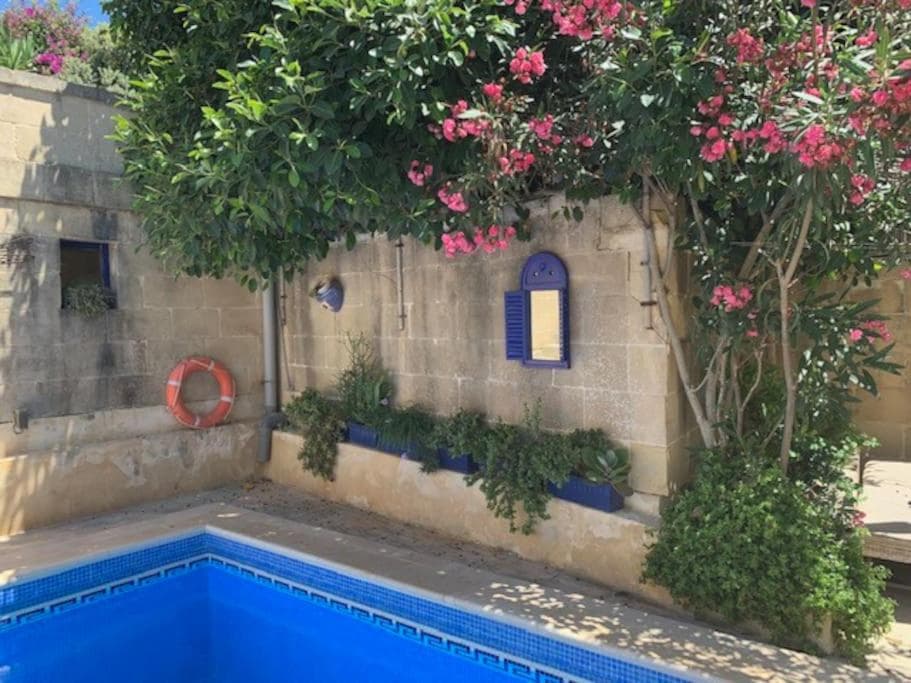 Dar Dragun: luxury 3BR bright spacious house & pool