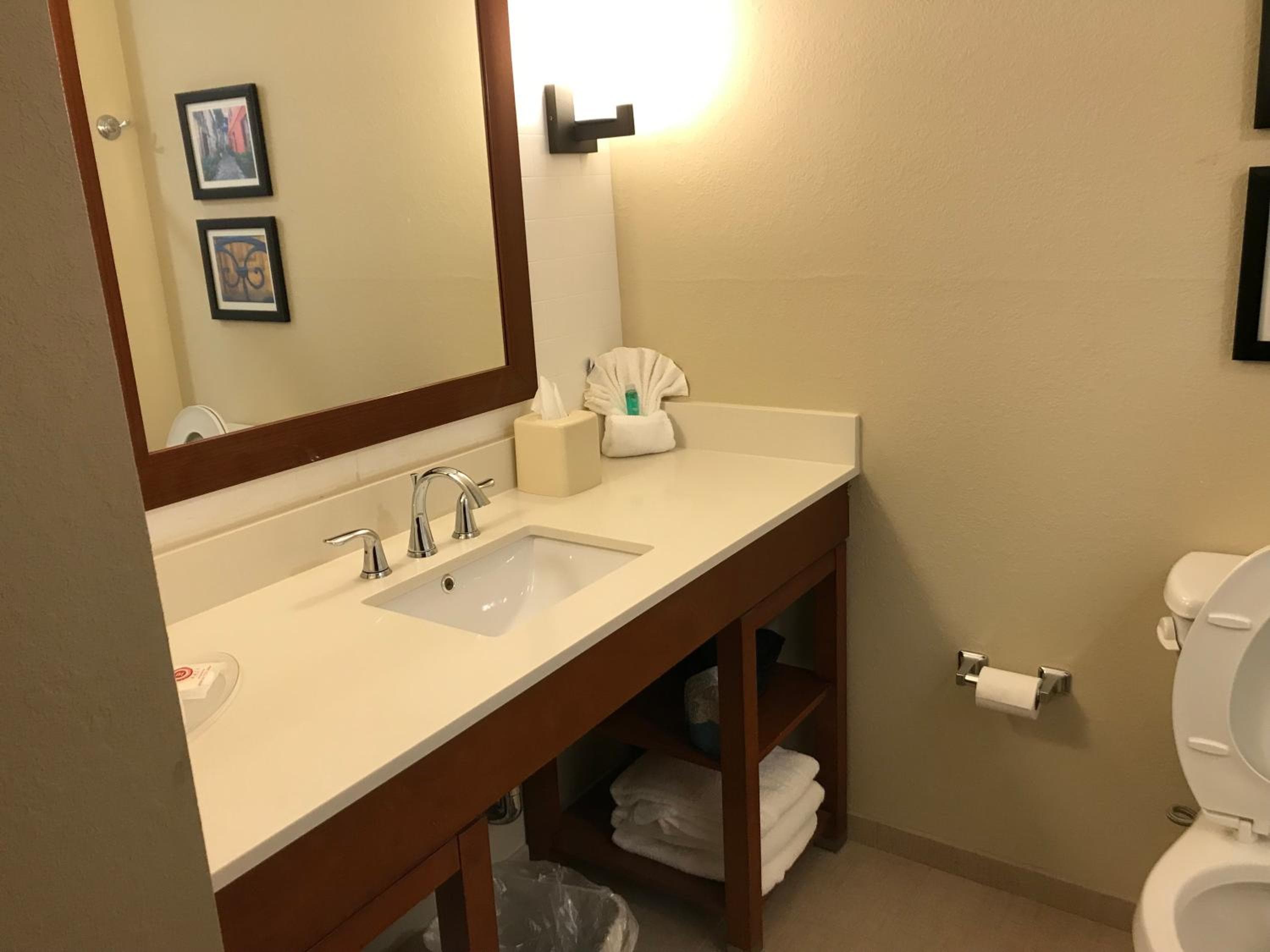 Comfort Suites Summerville