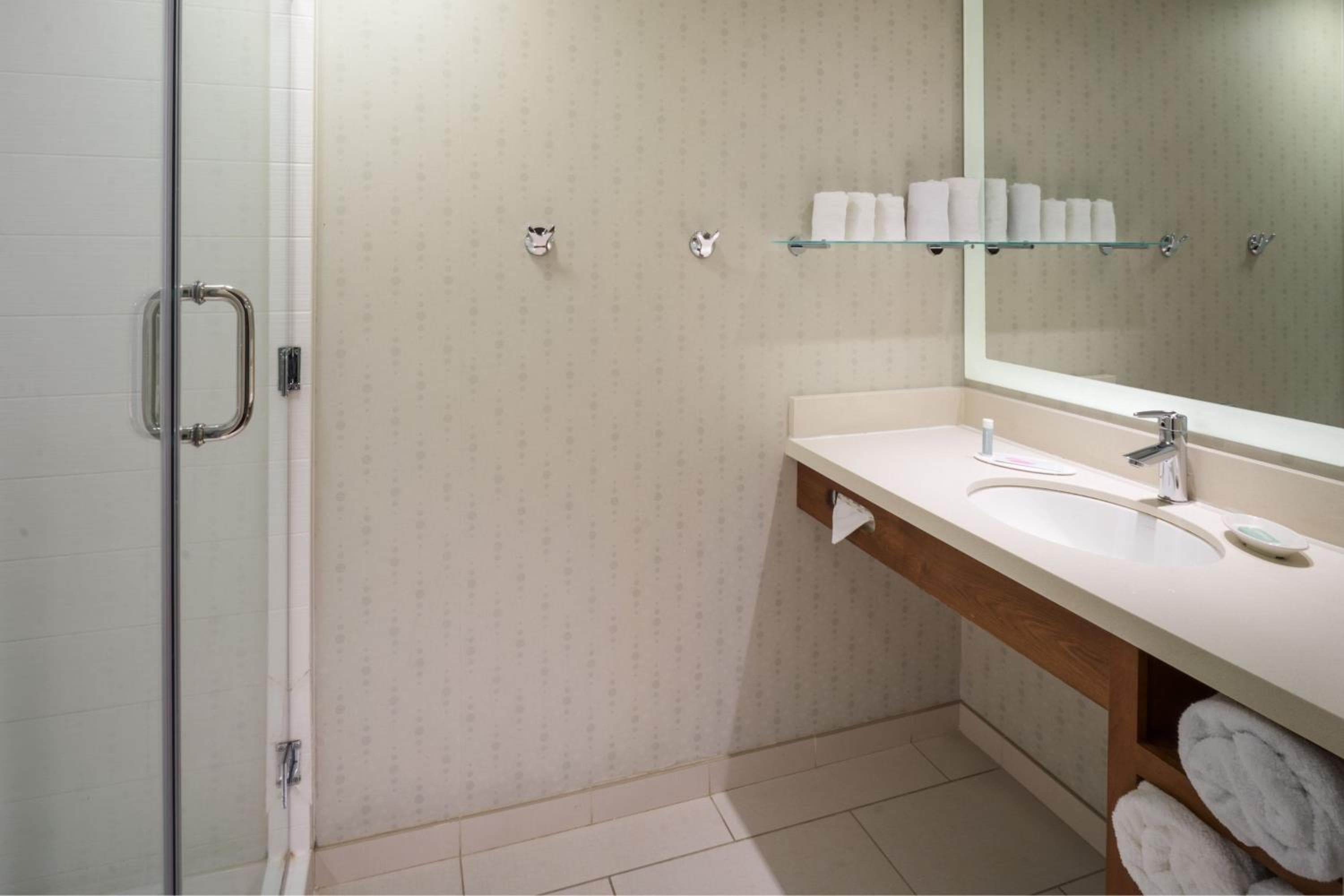 SpringHill Suites by Marriott Philadelphia Airport / Ridley Park